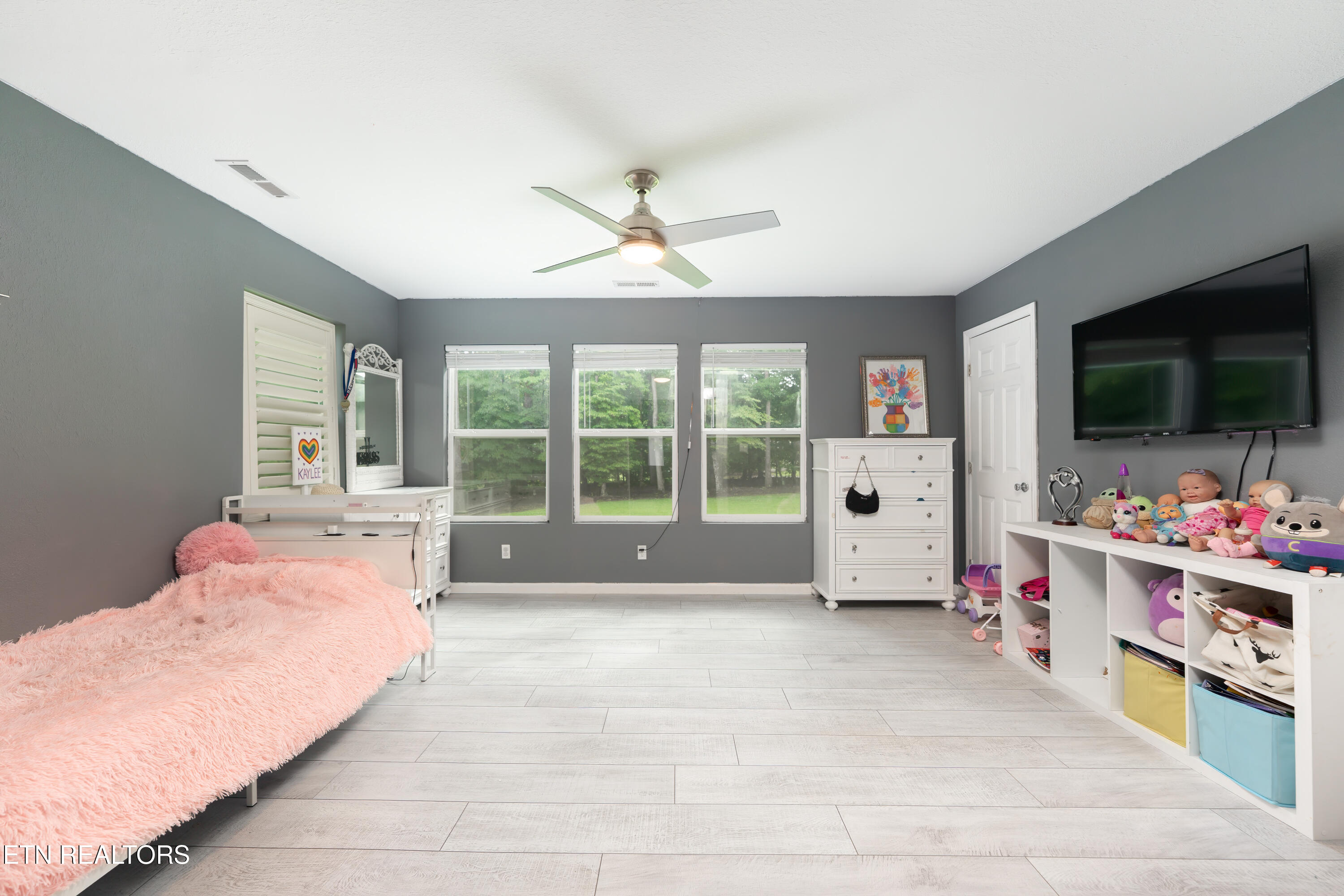 1036 Stokley Court Dandridge TN 37725