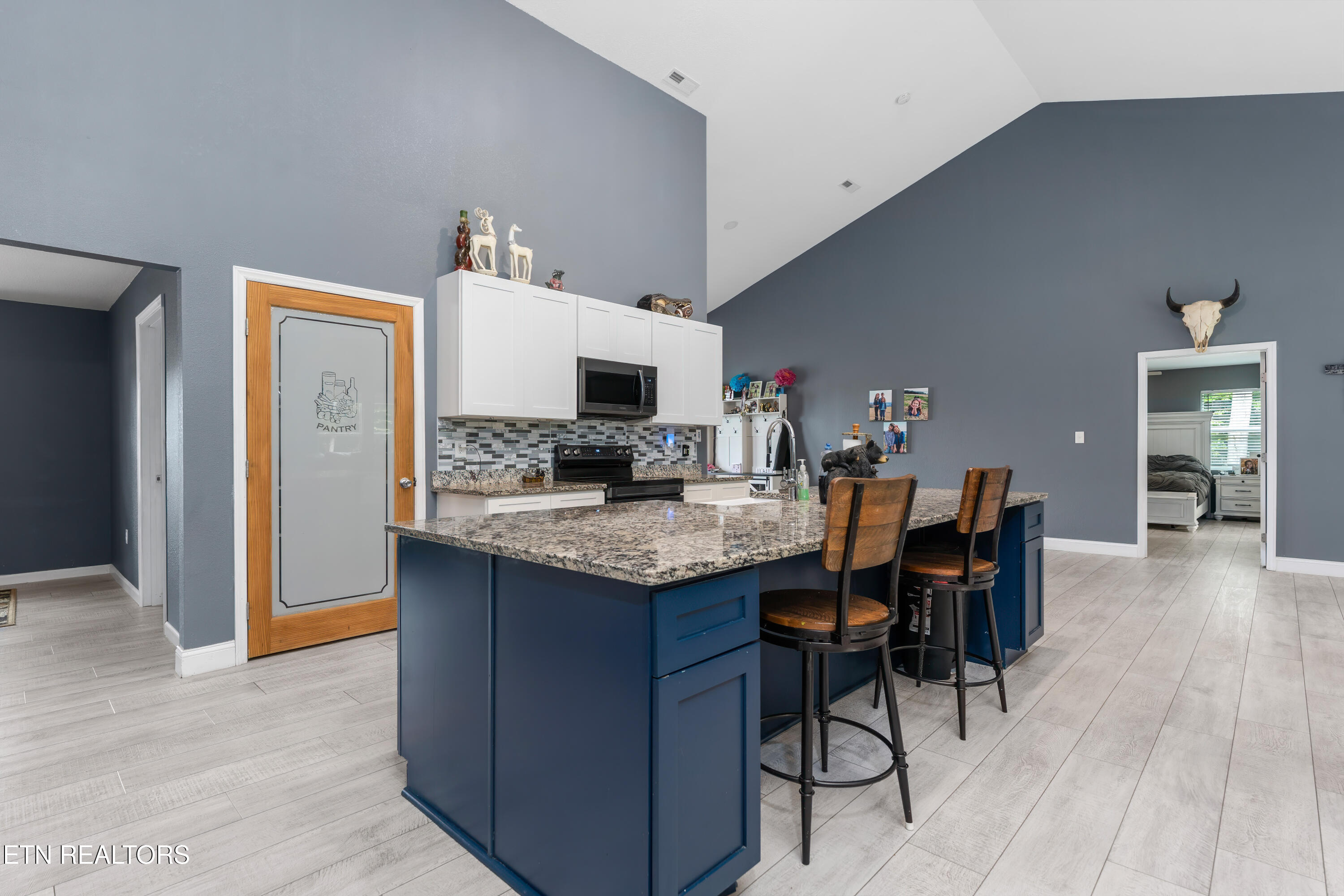 1036 Stokley Court Dandridge TN 37725