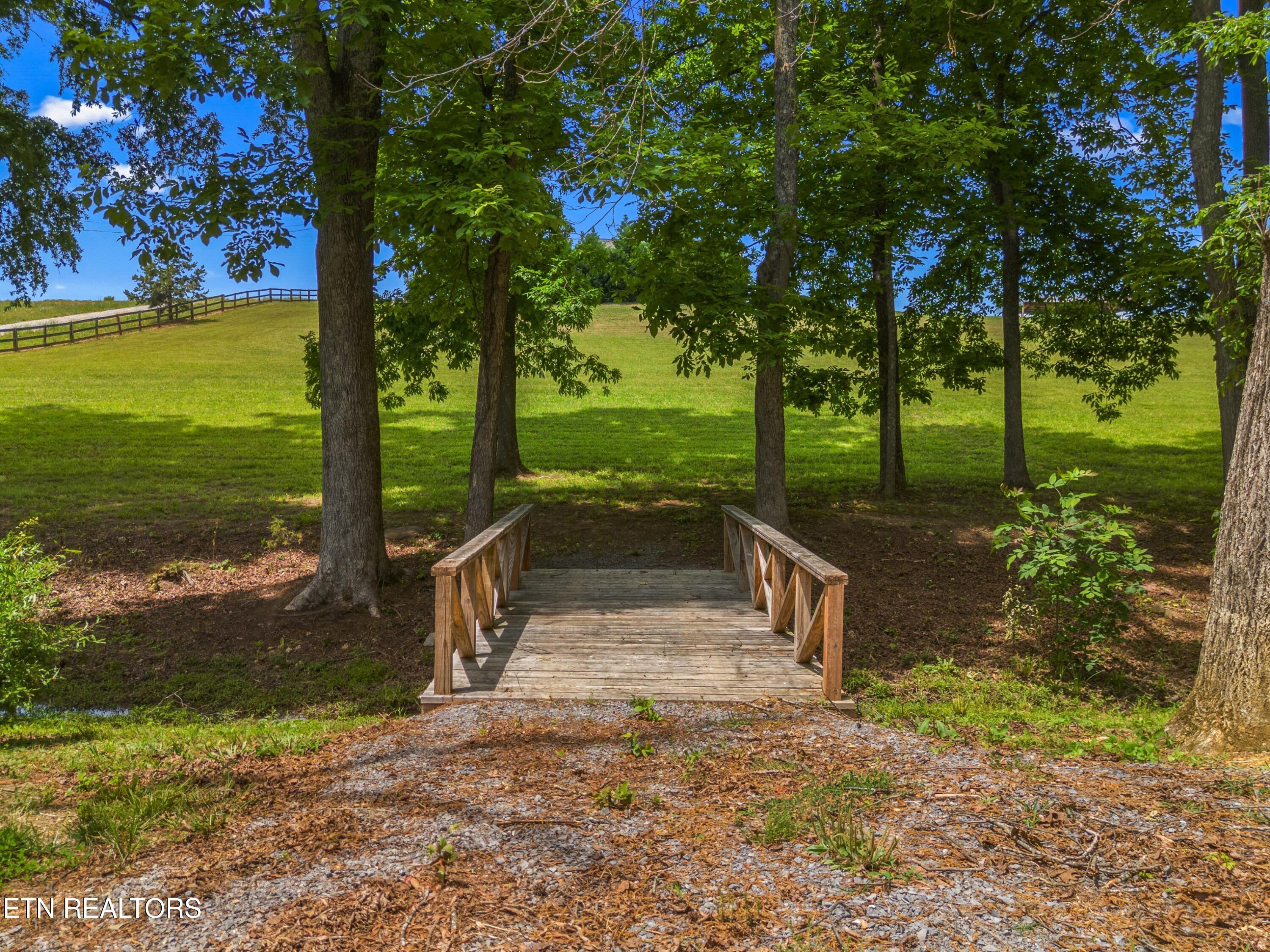 860 Harrison Ferry Road Baneberry TN 37890