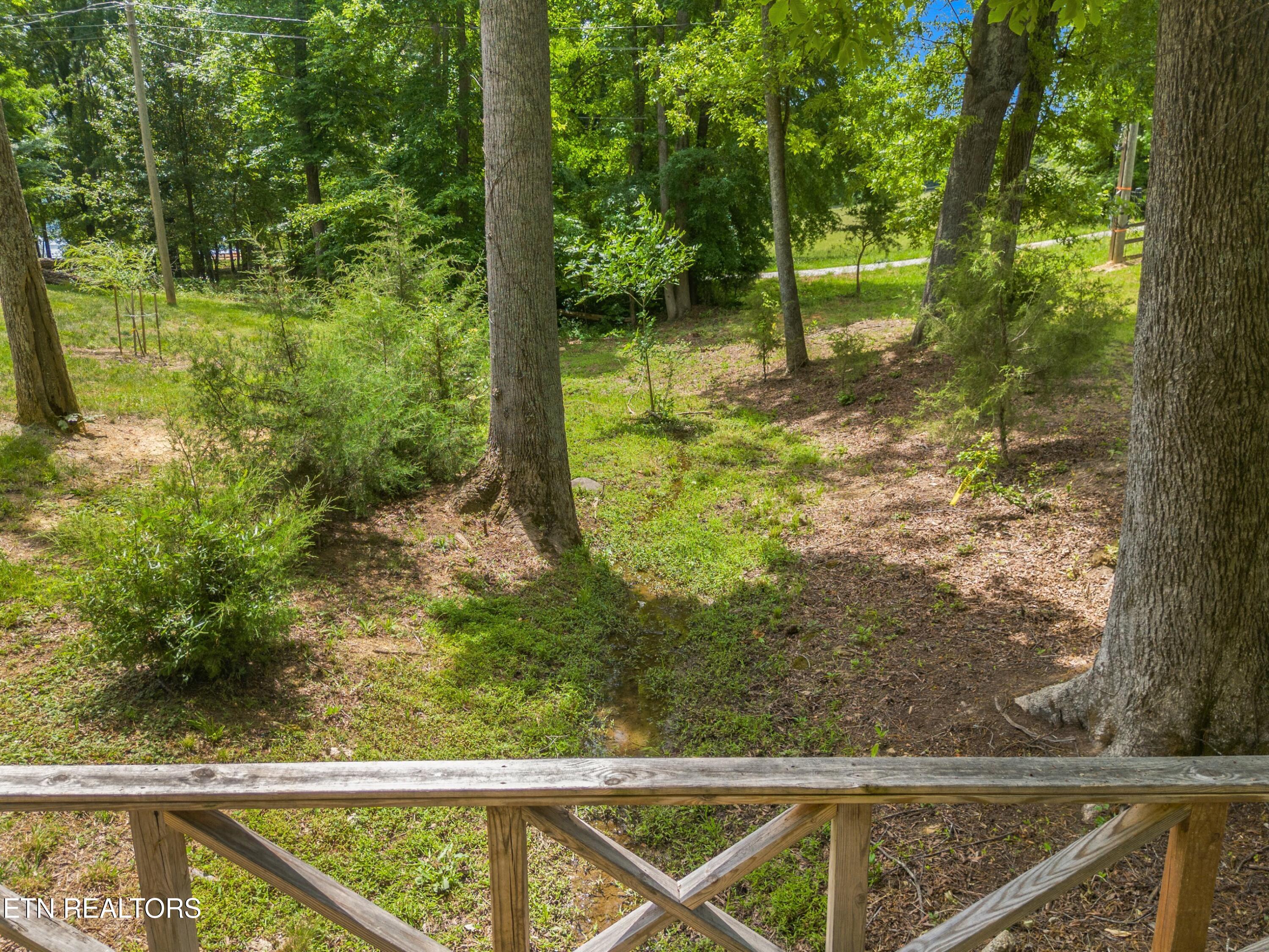860 Harrison Ferry Road Baneberry TN 37890