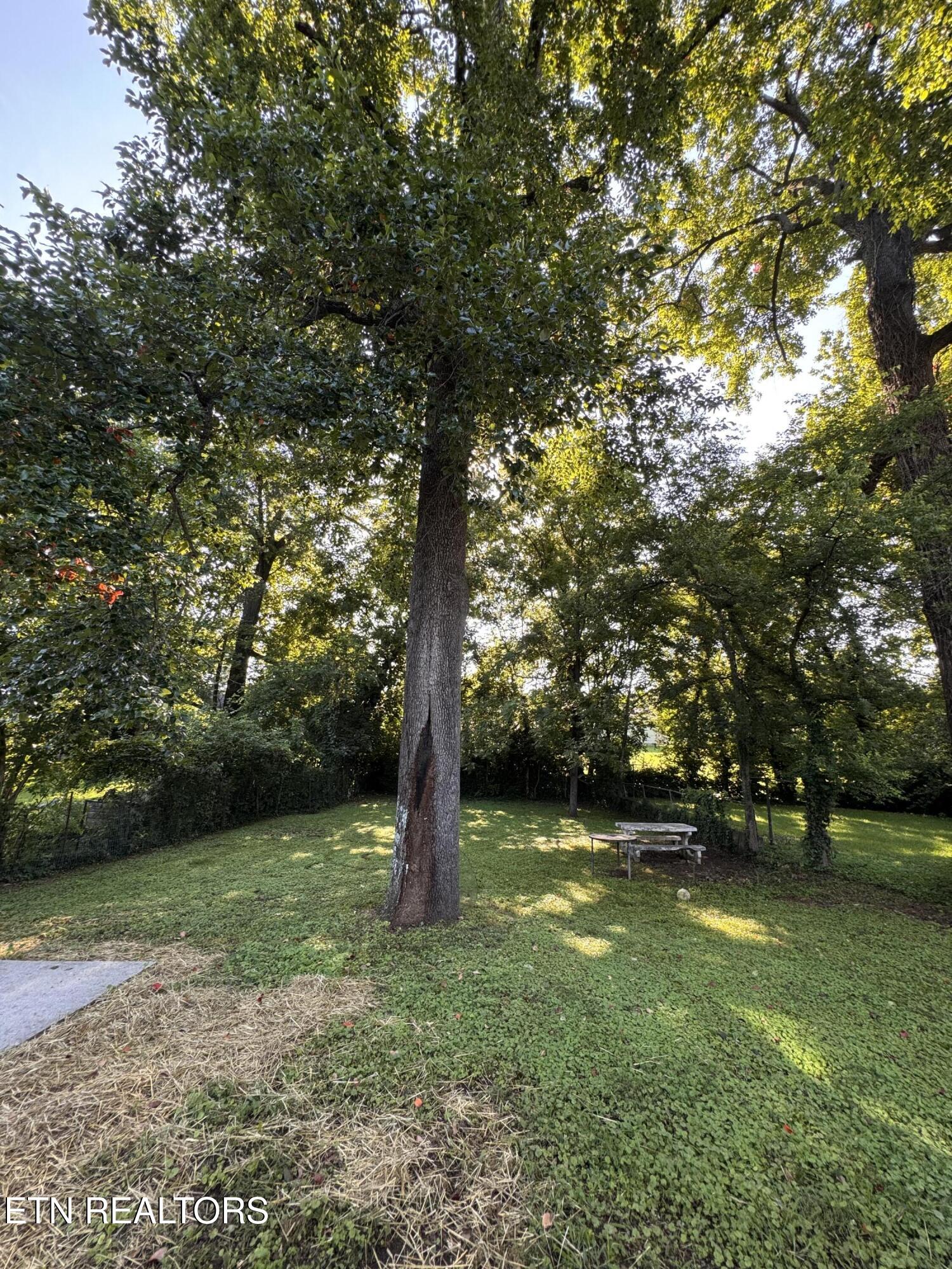 3416 Oak Grove Street Knoxville TN 37920