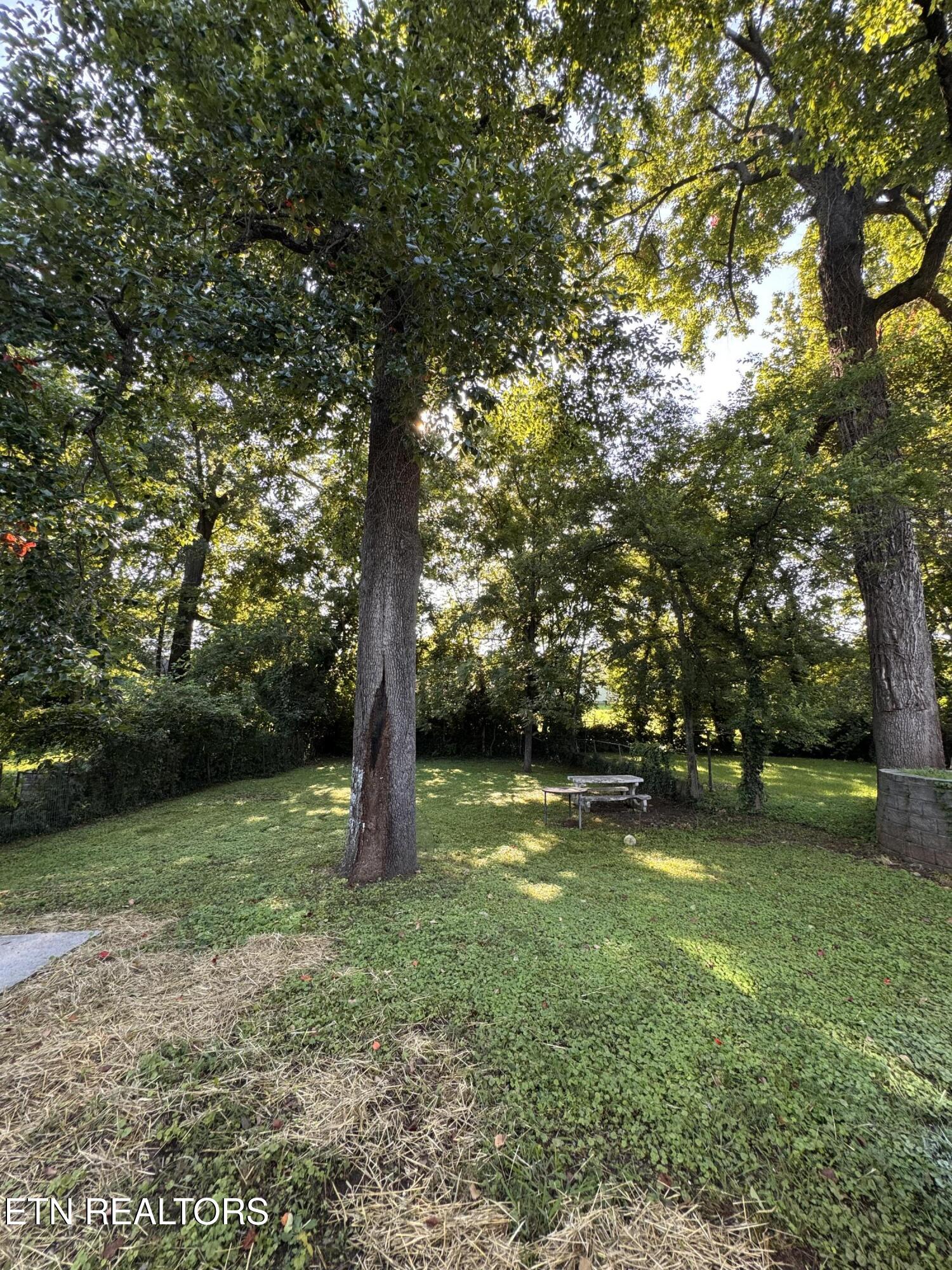 3416 Oak Grove Street Knoxville TN 37920