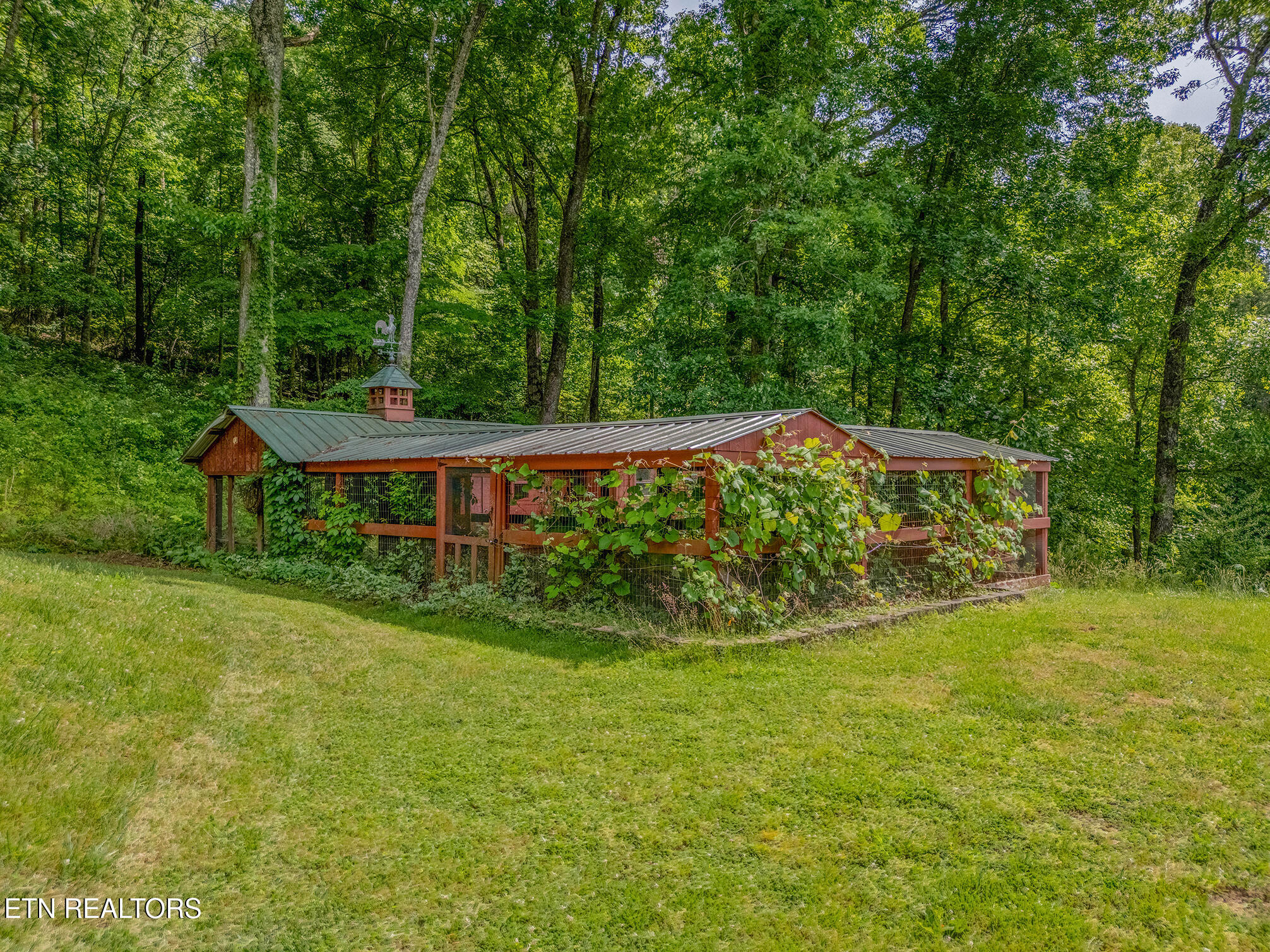 151 Gray Knob Road Kingston TN 37763