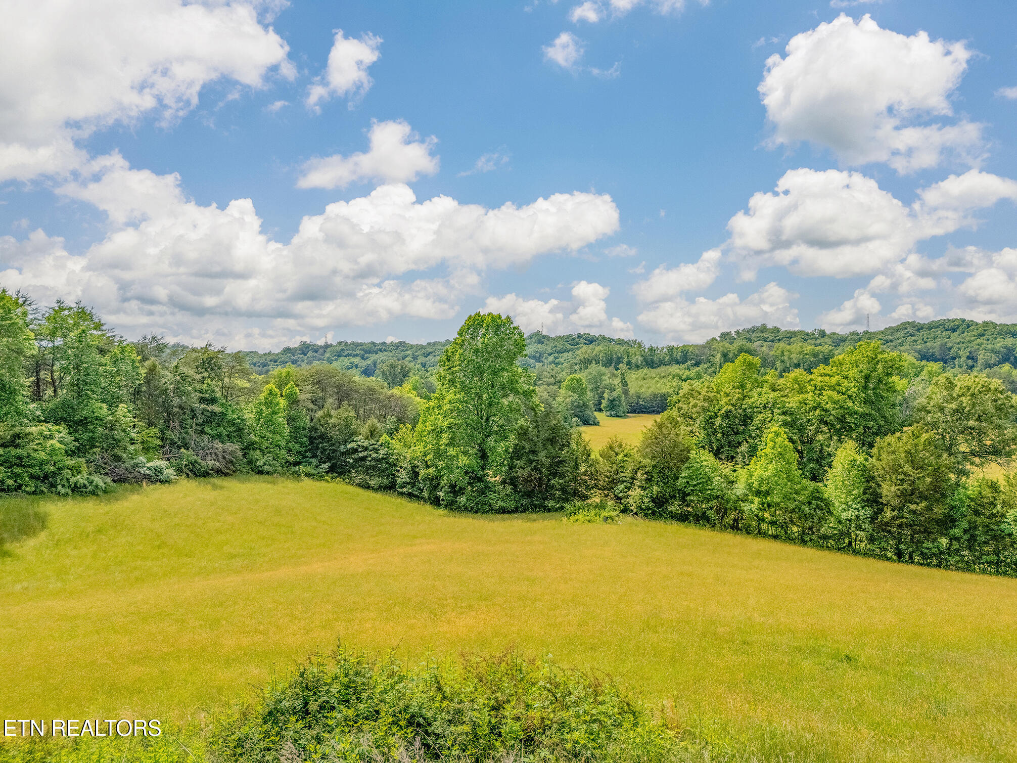 151 Gray Knob Road Kingston TN 37763