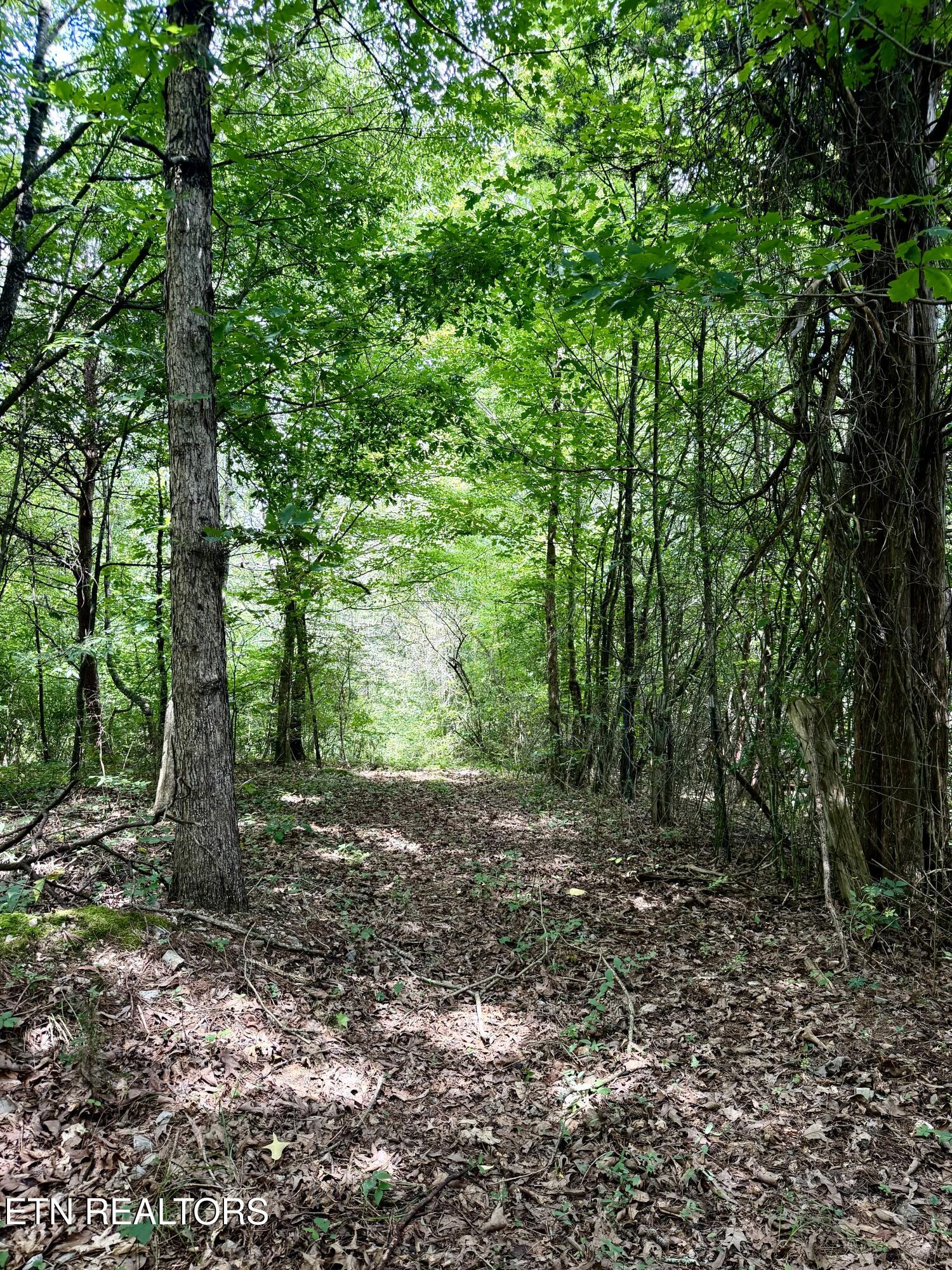 119 Springhouse Road Powell TN 37849