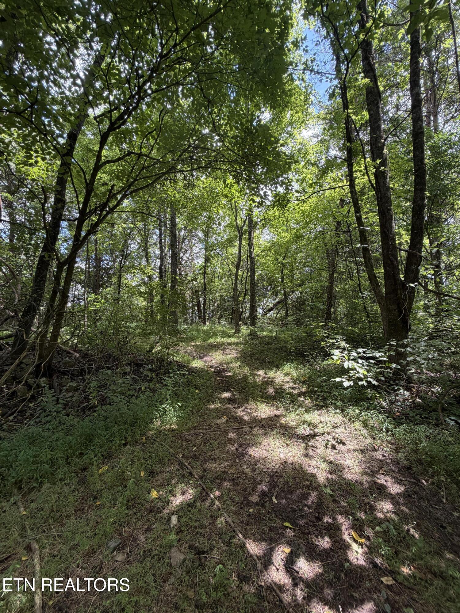 119 Springhouse Road Powell TN 37849