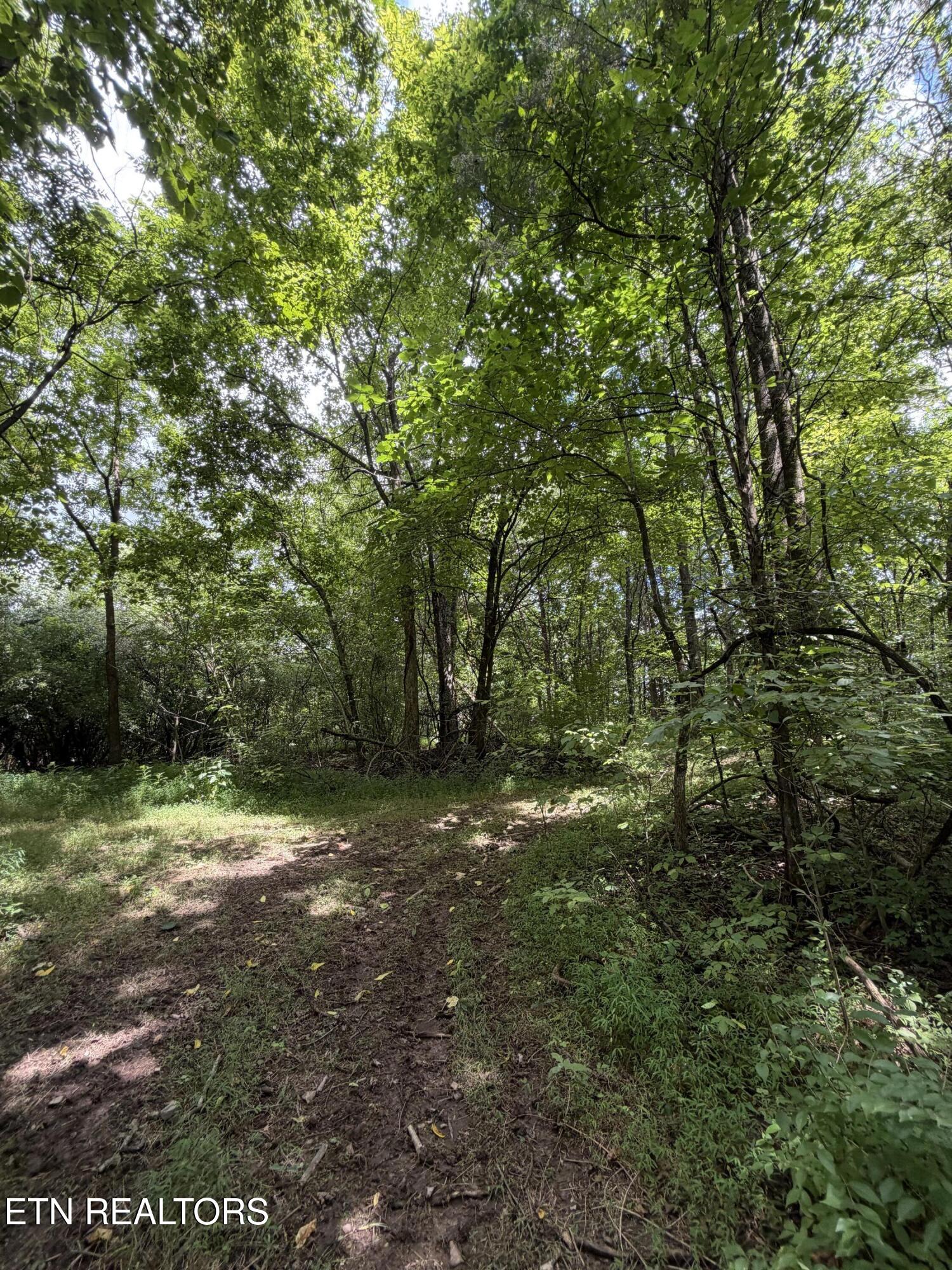 119 Springhouse Road Powell TN 37849