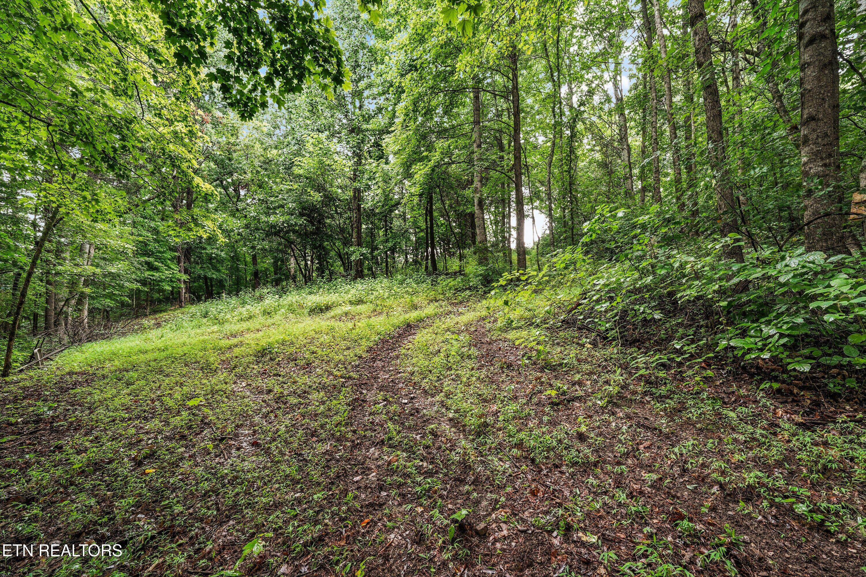 119 Springhouse Road Powell TN 37849