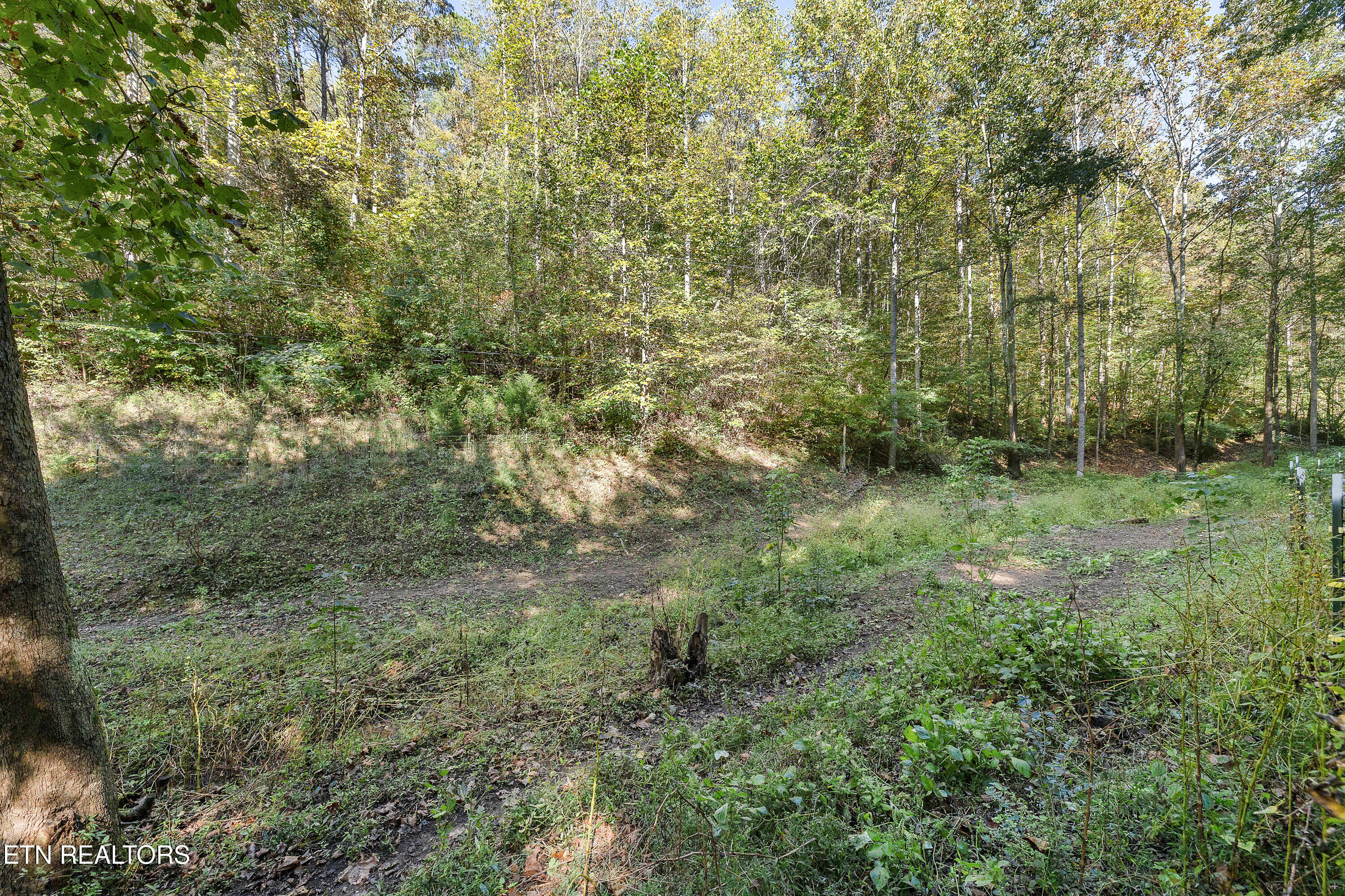 163 Ridge Road Sharps Chapel TN 37866