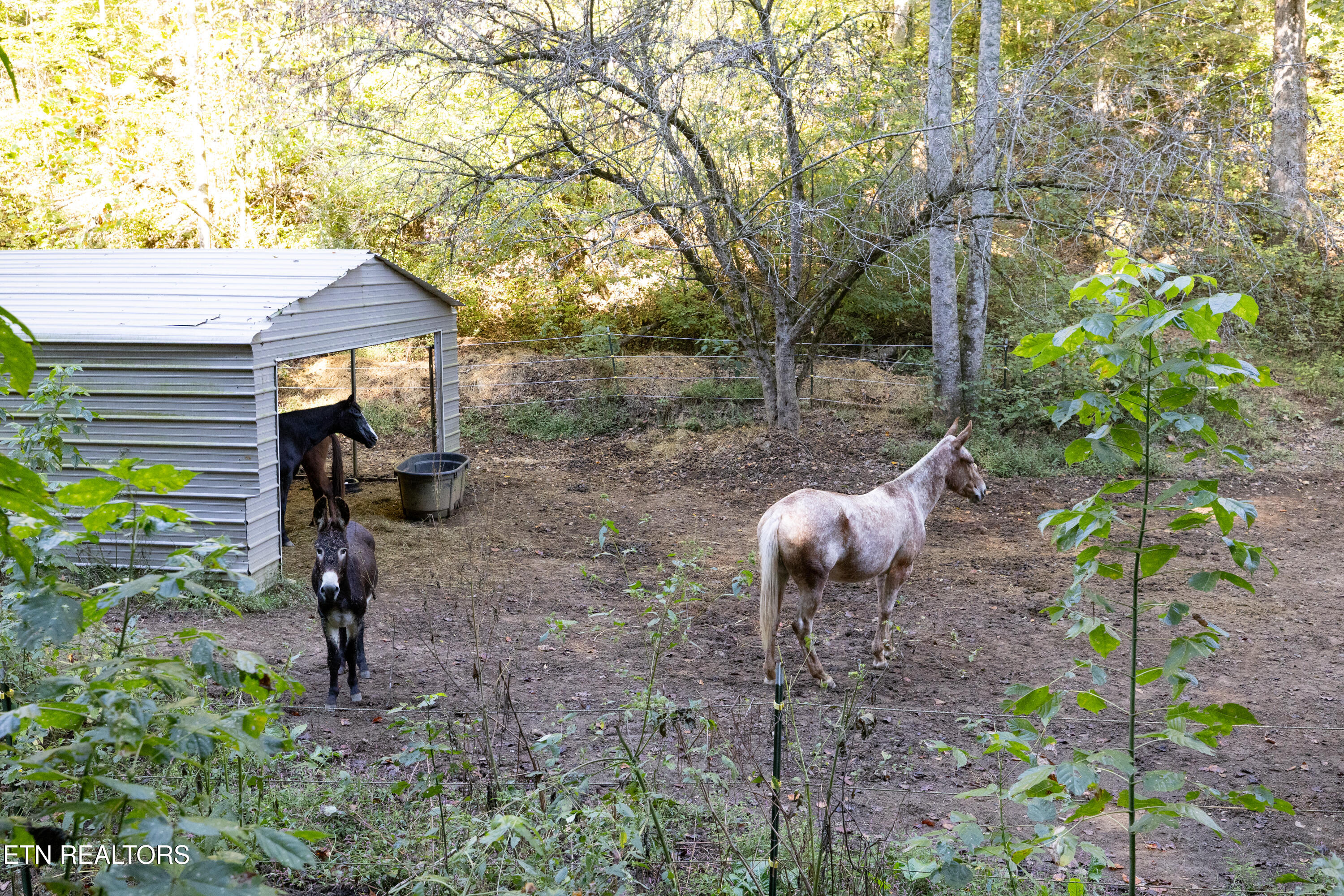 163 Ridge Road Sharps Chapel TN 37866