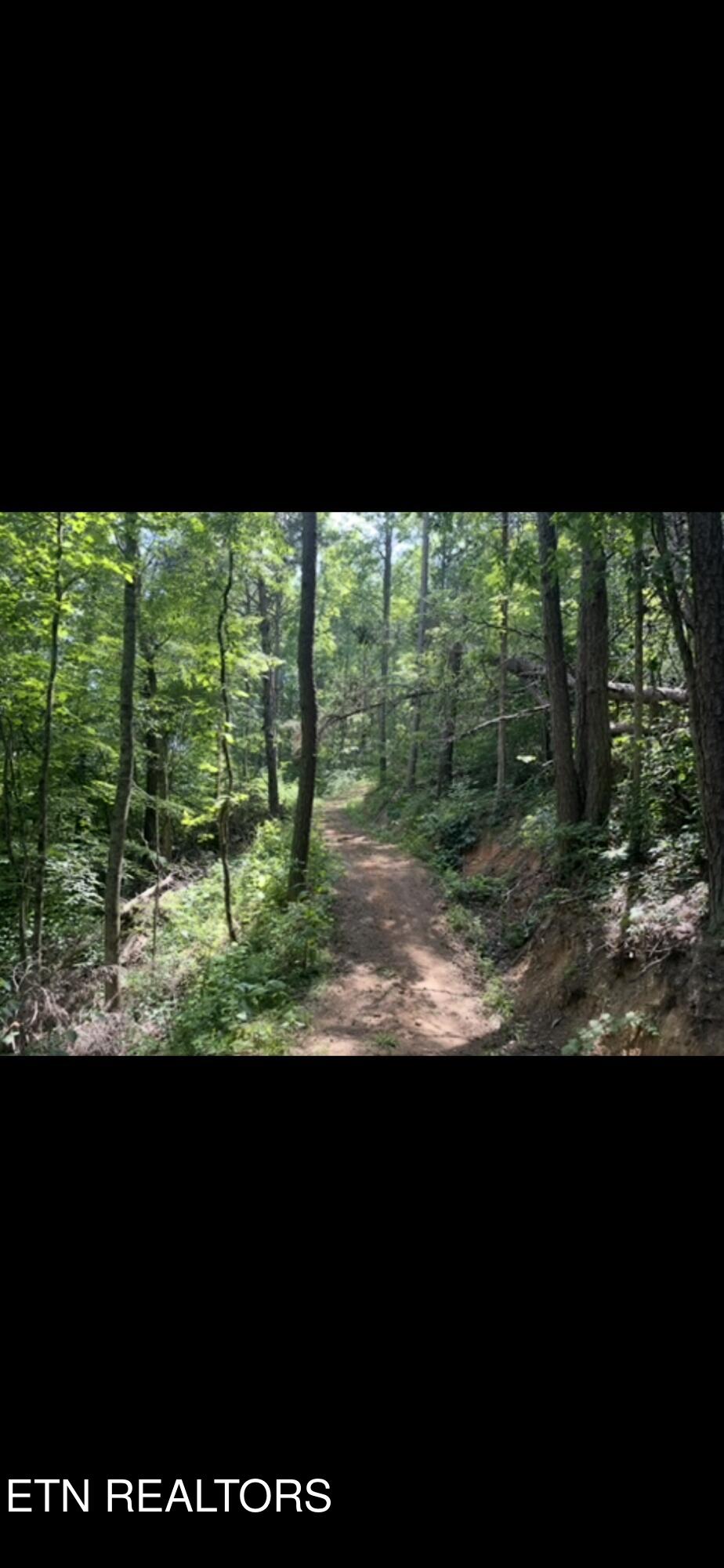 163 Ridge Road Sharps Chapel TN 37866