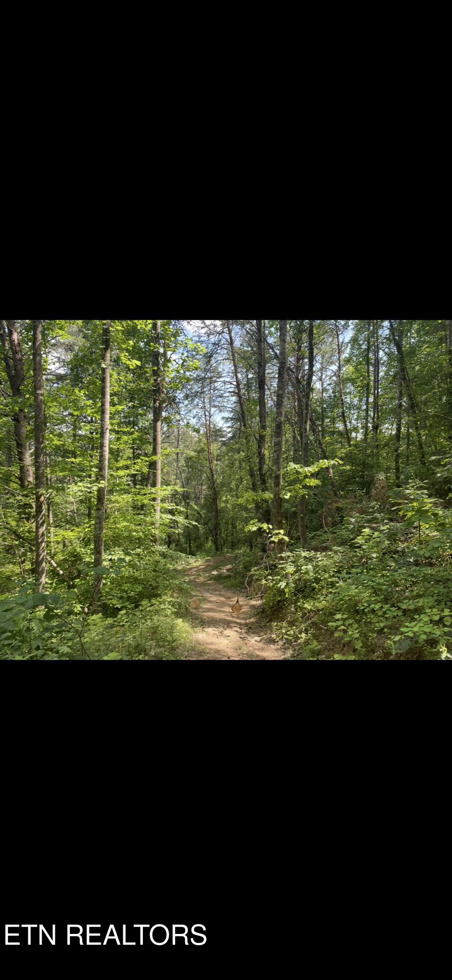 163 Ridge Road Sharps Chapel TN 37866