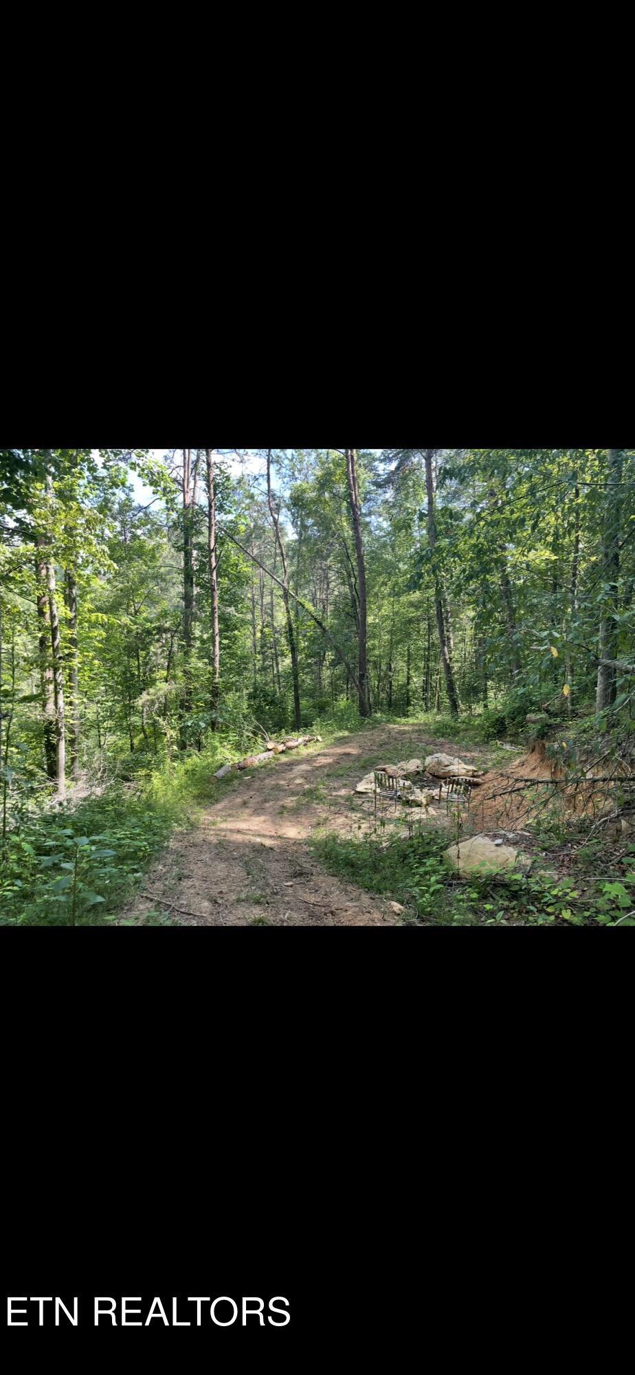 163 Ridge Road Sharps Chapel TN 37866