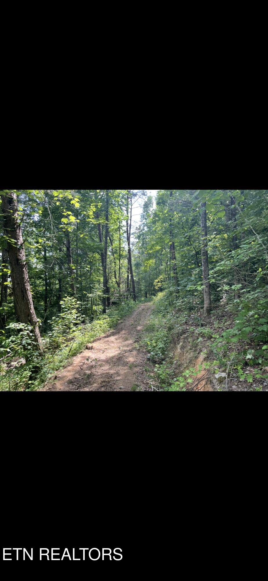 163 Ridge Road Sharps Chapel TN 37866