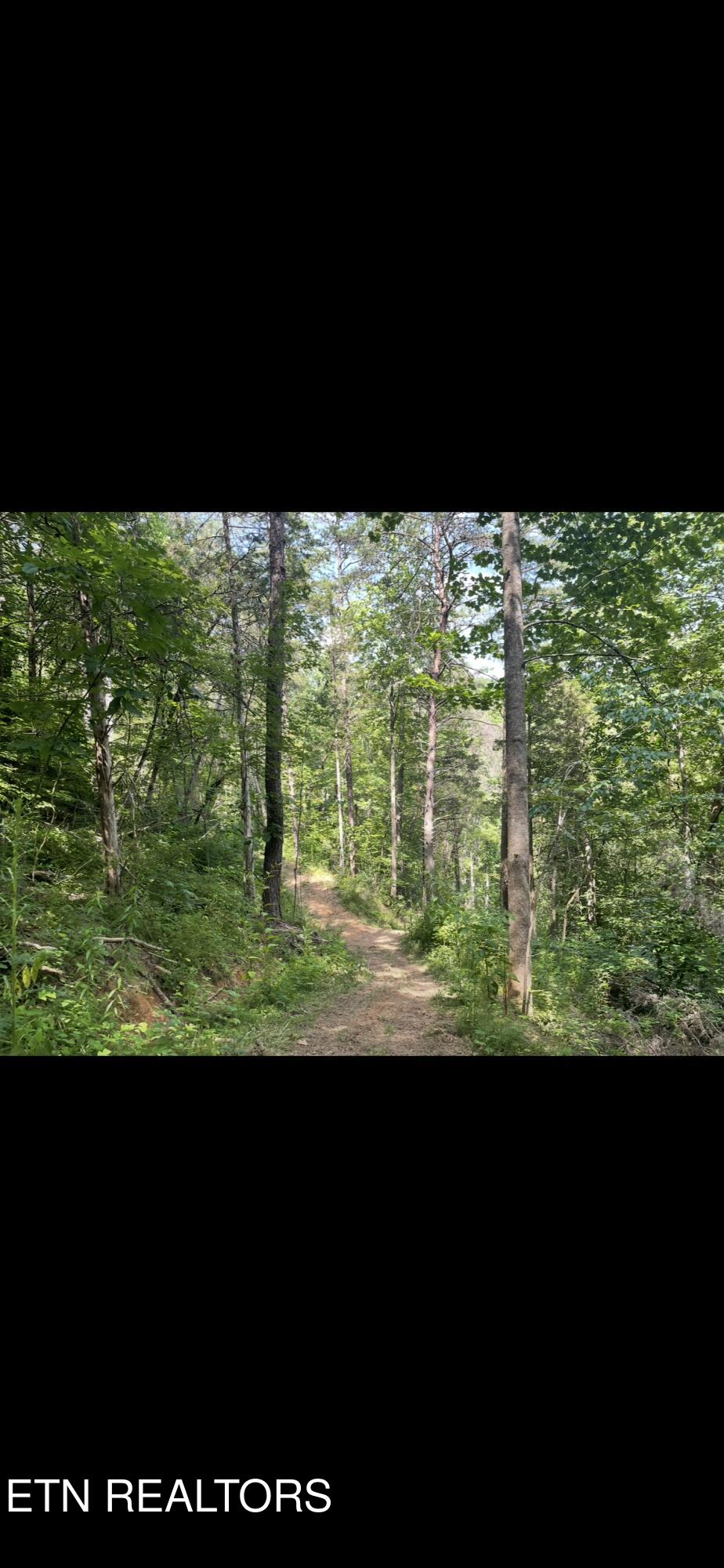163 Ridge Road Sharps Chapel TN 37866