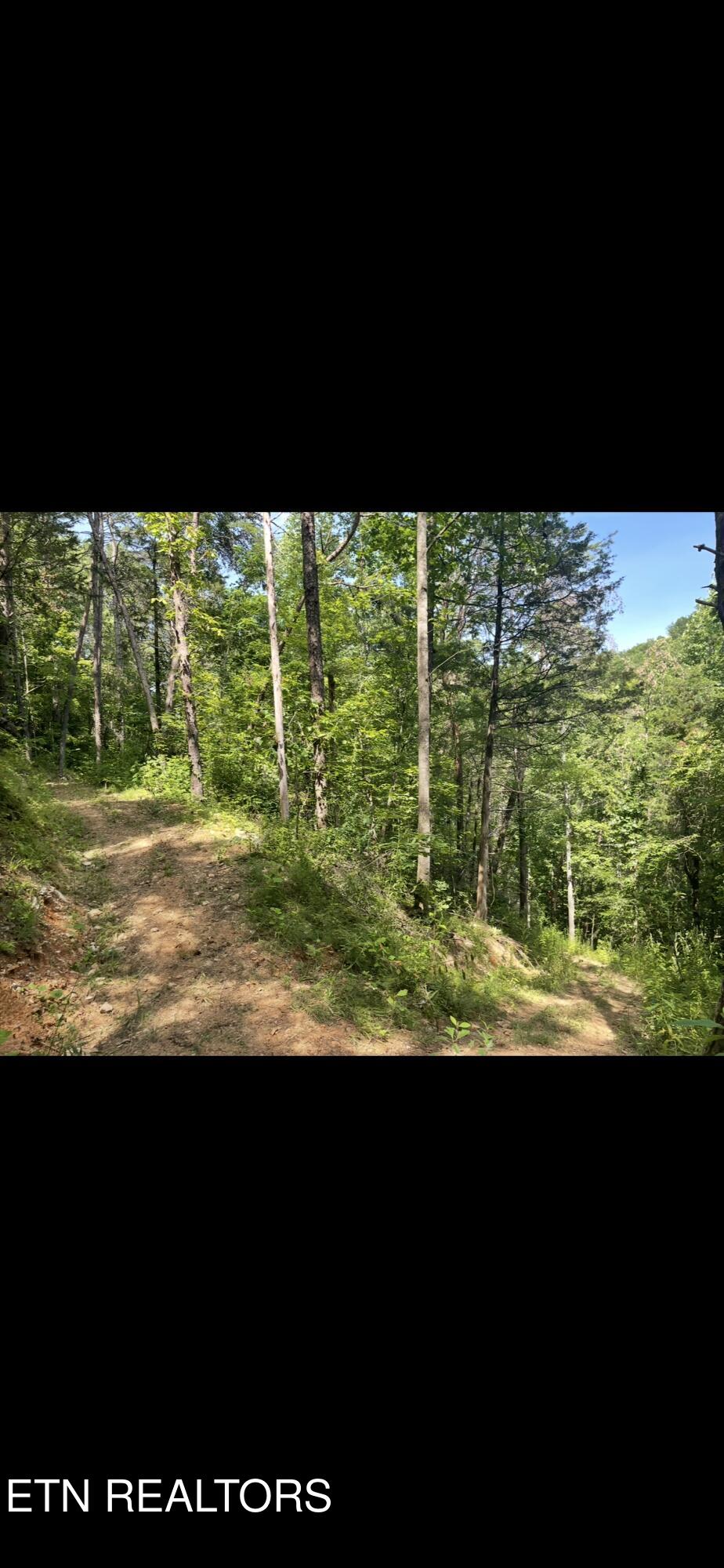 163 Ridge Road Sharps Chapel TN 37866