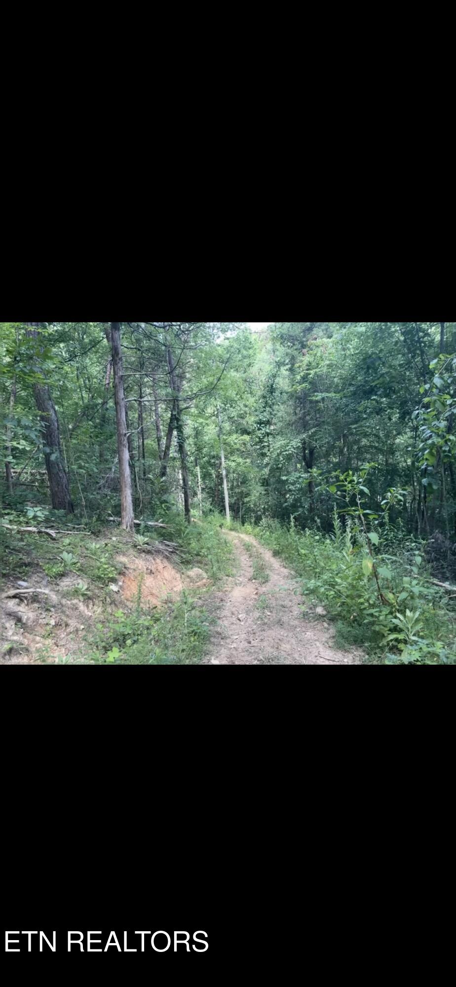 163 Ridge Road Sharps Chapel TN 37866