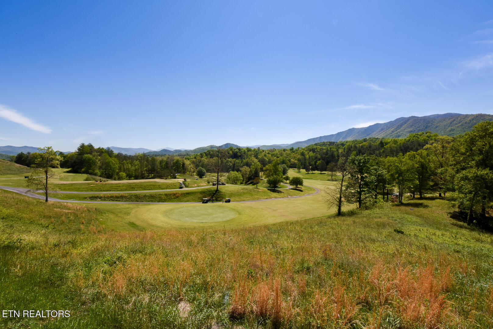1148 Laurel Road Townsend TN 37882