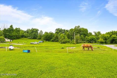 982 Little White Oak Road Duff TN 37729