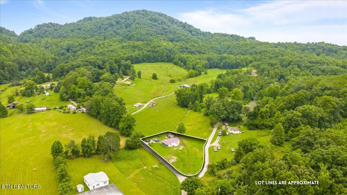 982 Little White Oak Road Duff TN 37729