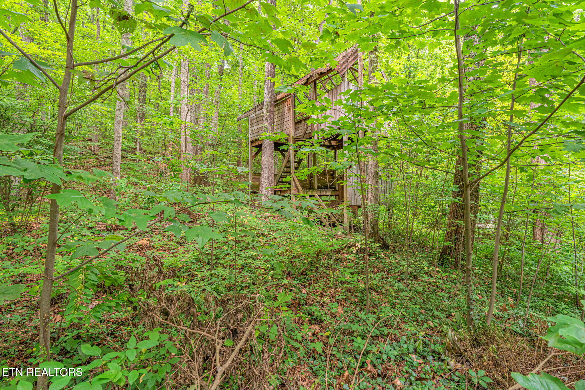 1130 W Outer Drive Oak Ridge TN 37830