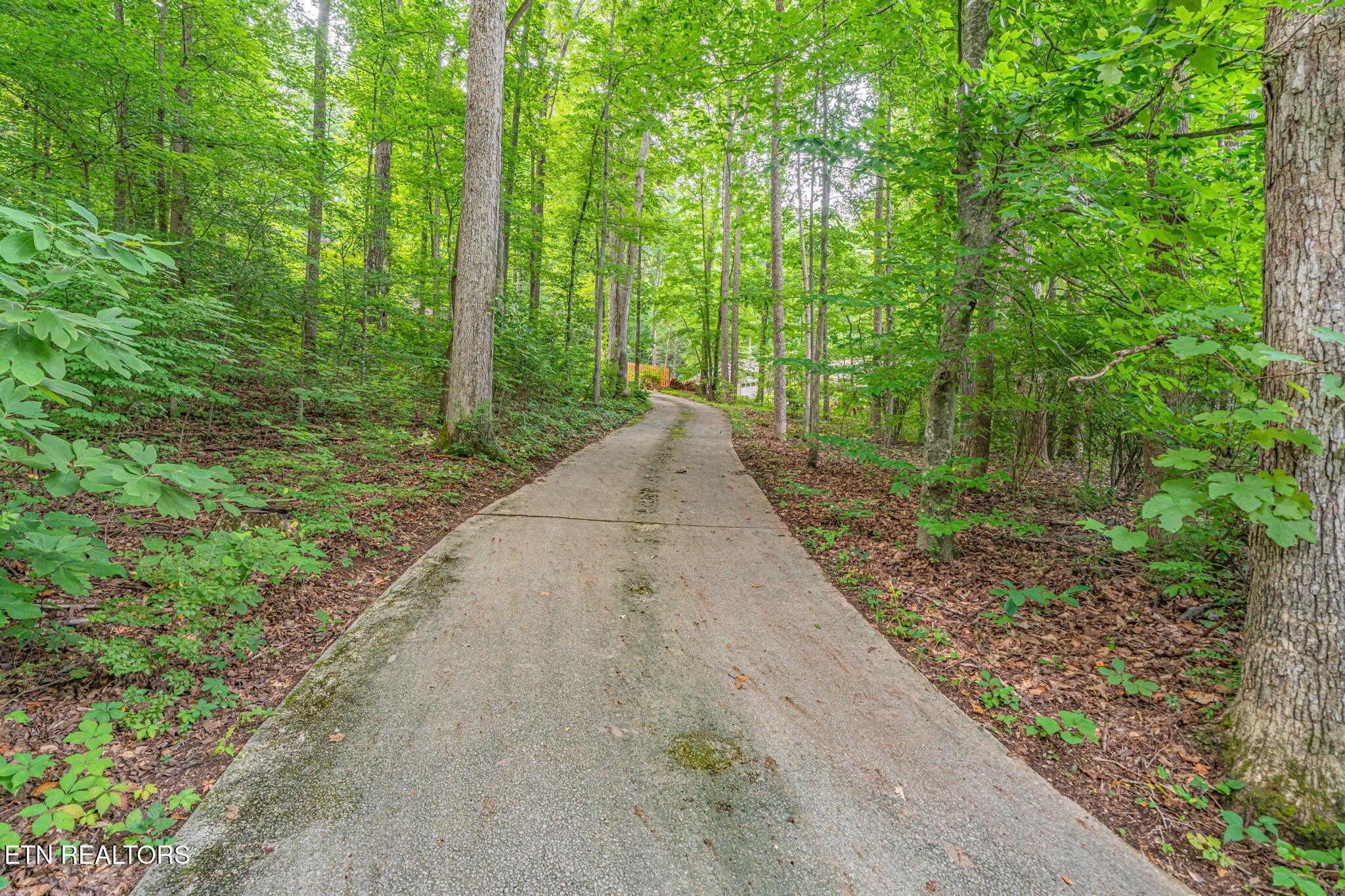 1130 W Outer Drive Oak Ridge TN 37830