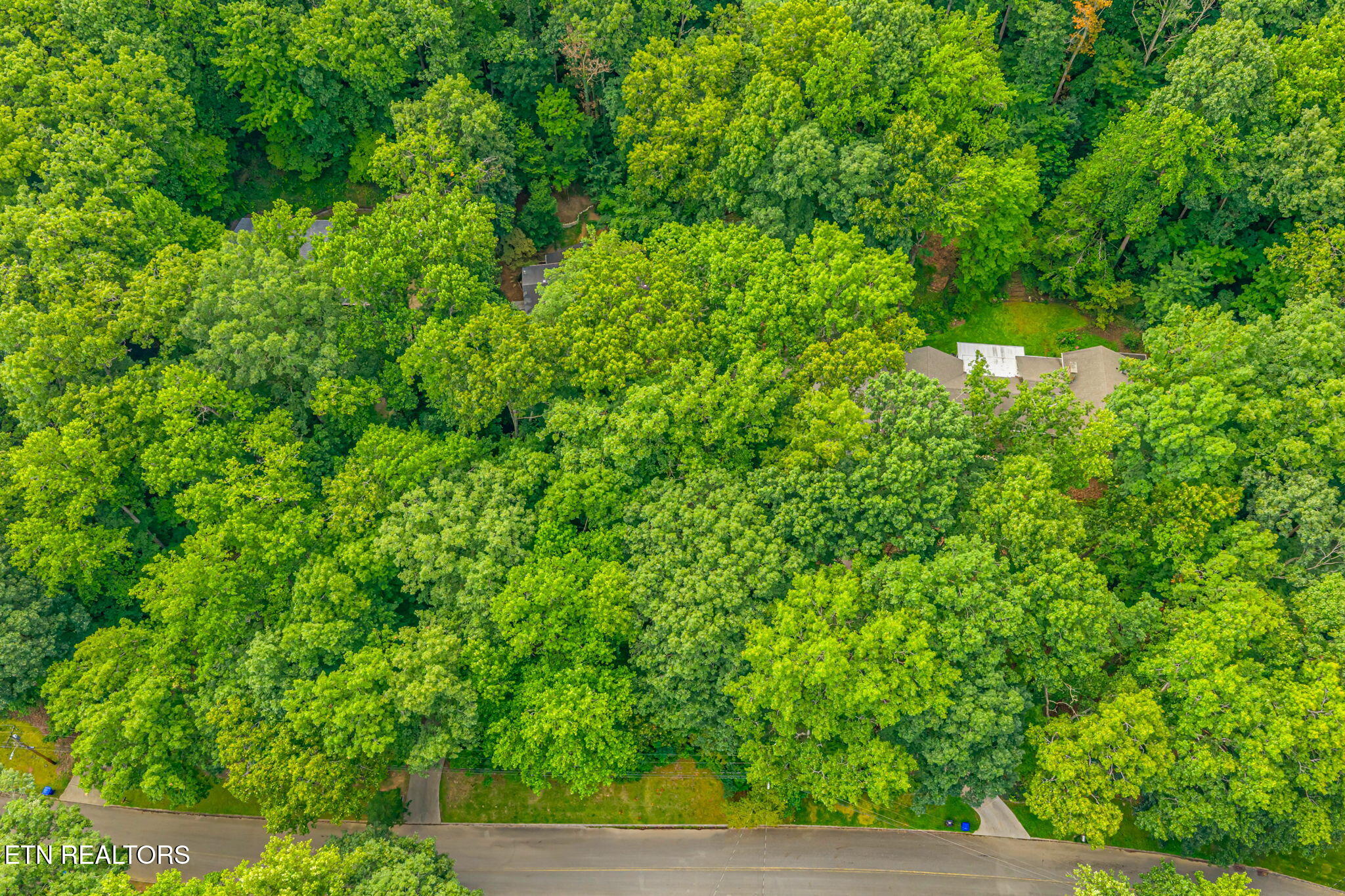 1130 W Outer Drive Oak Ridge TN 37830