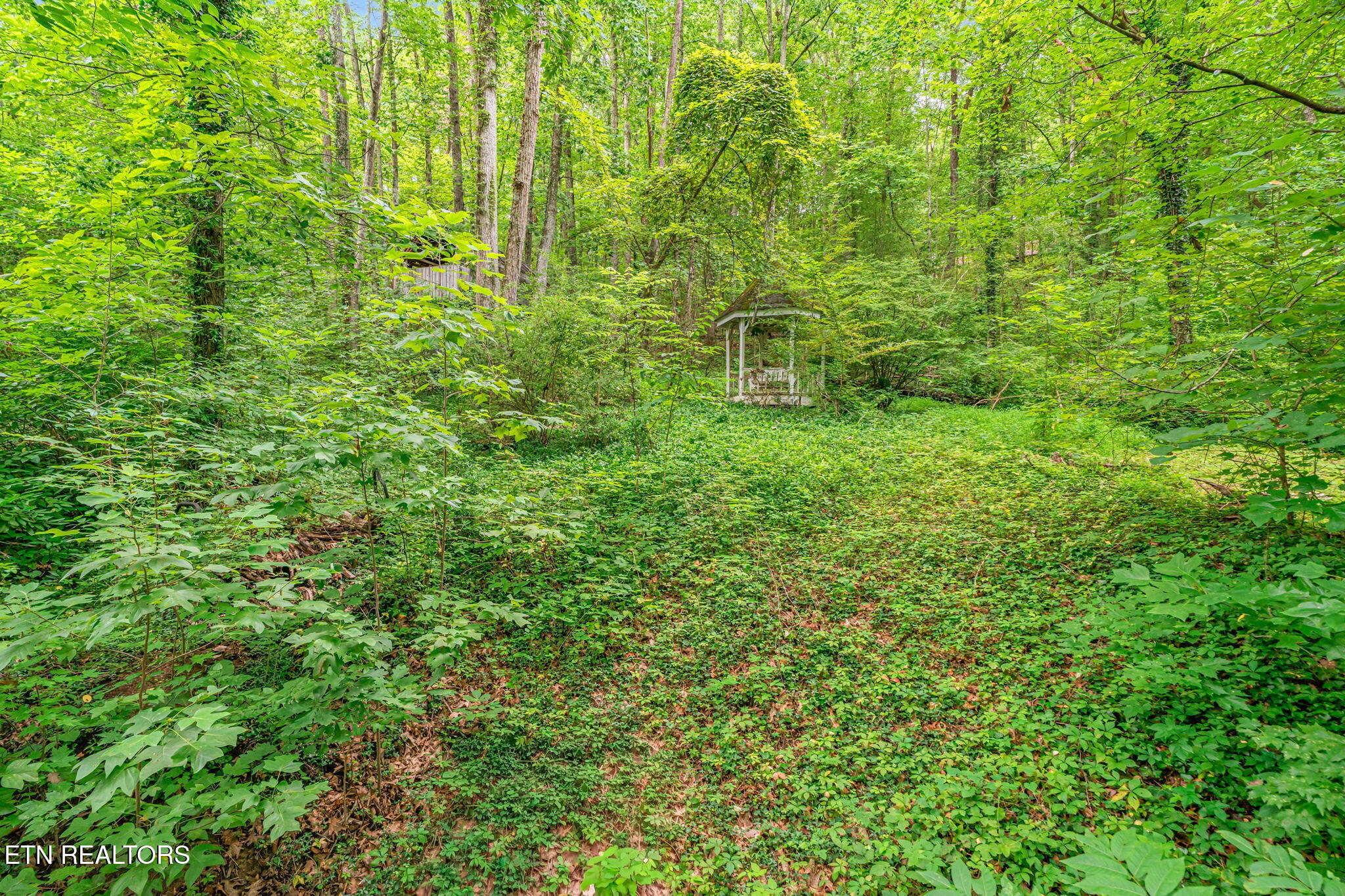1130 W Outer Drive Oak Ridge TN 37830