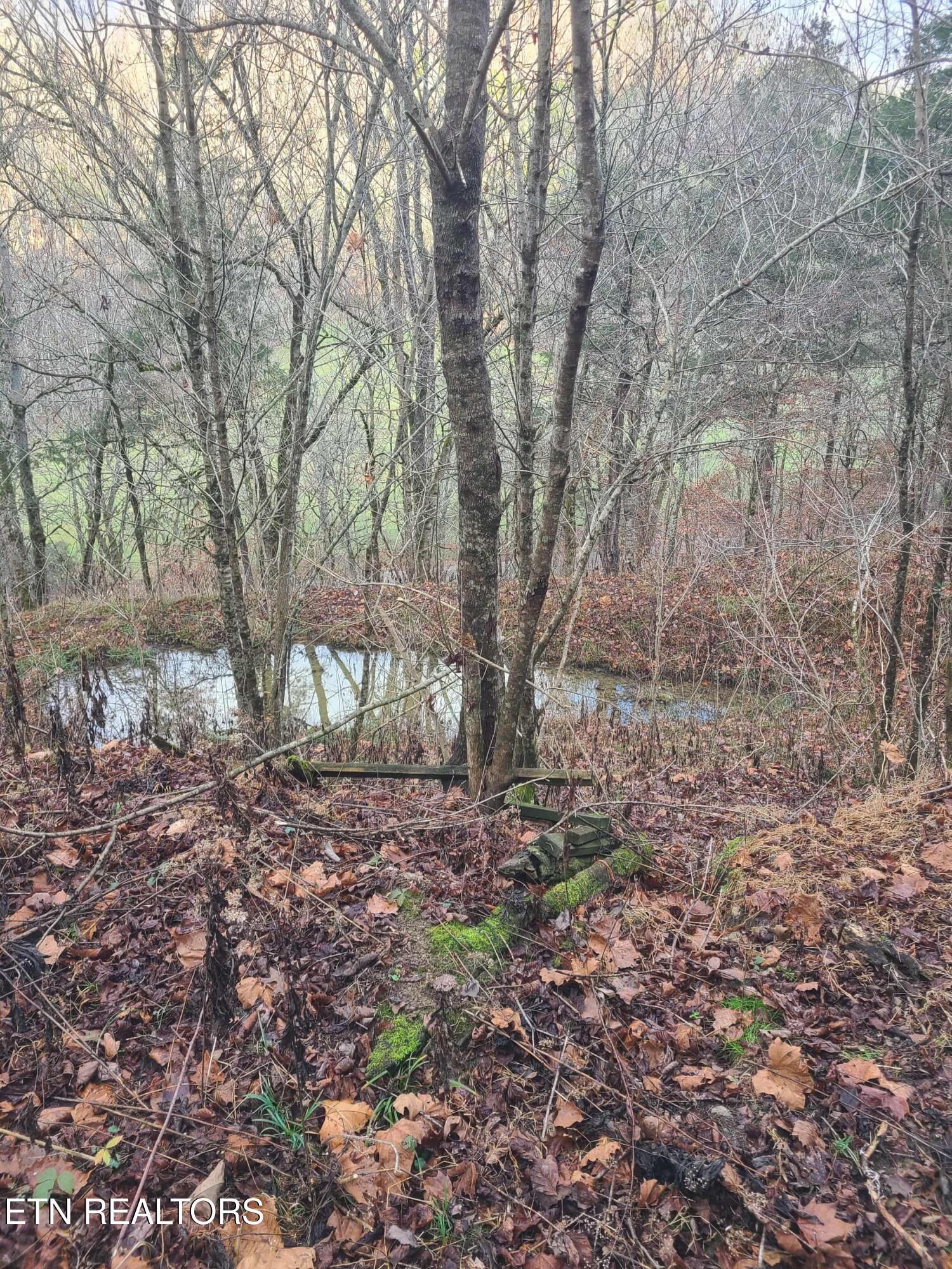 51 Turkeytown Road Hilham TN 38568