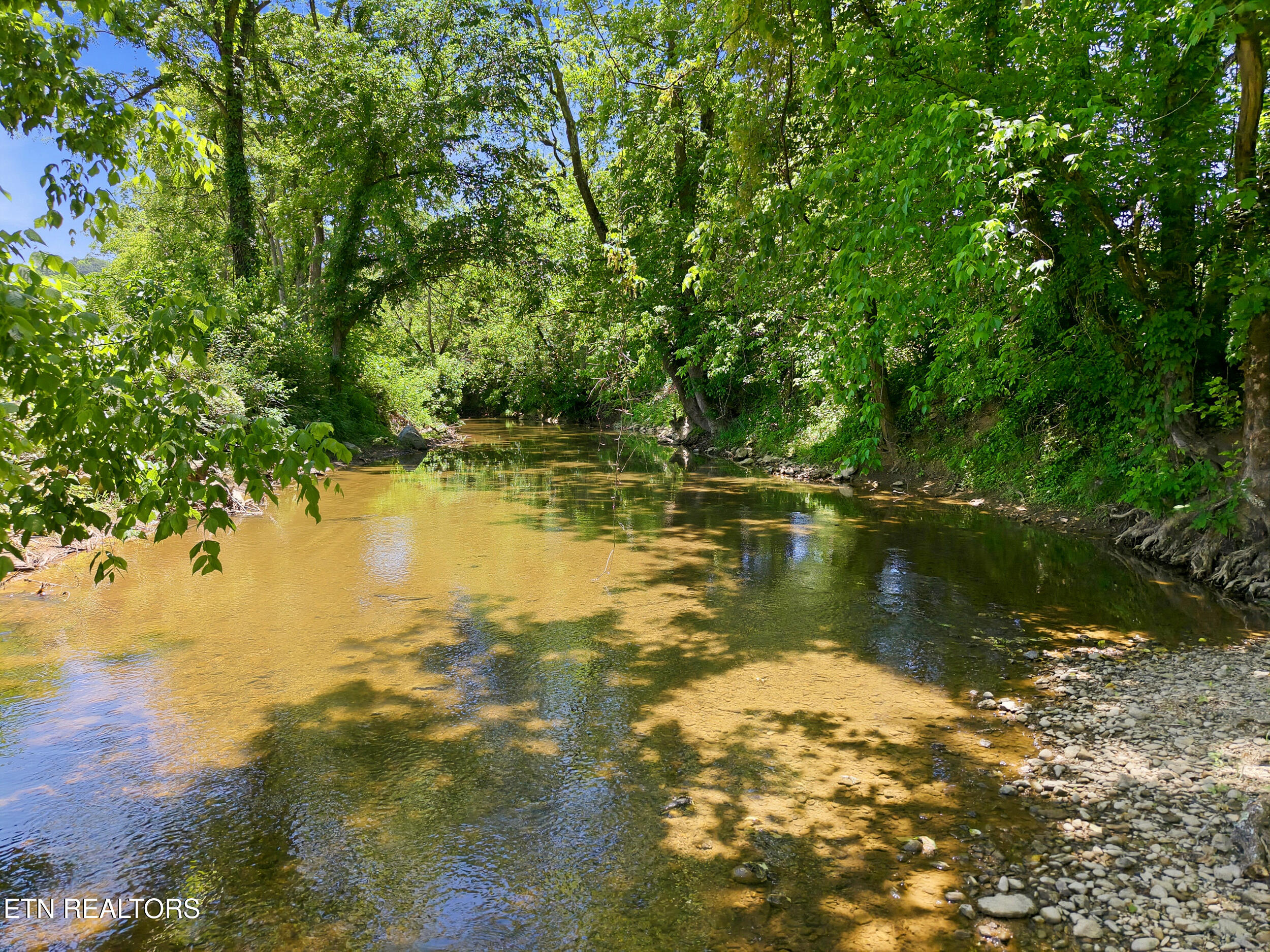 1309 &1319 Licklog Hollow Road Sevierville TN 37876