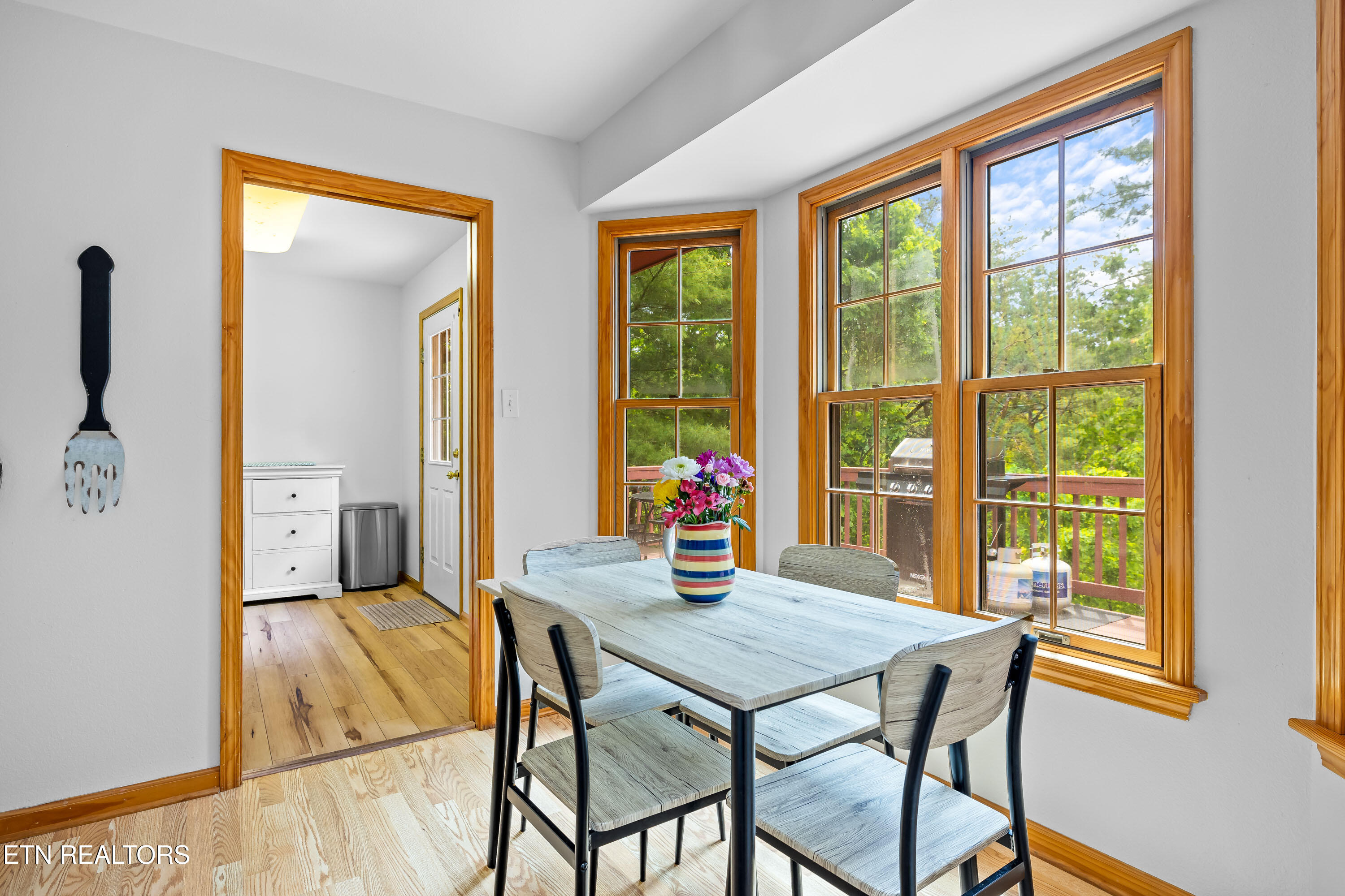 229 Cobblestone Way Townsend TN 37882
