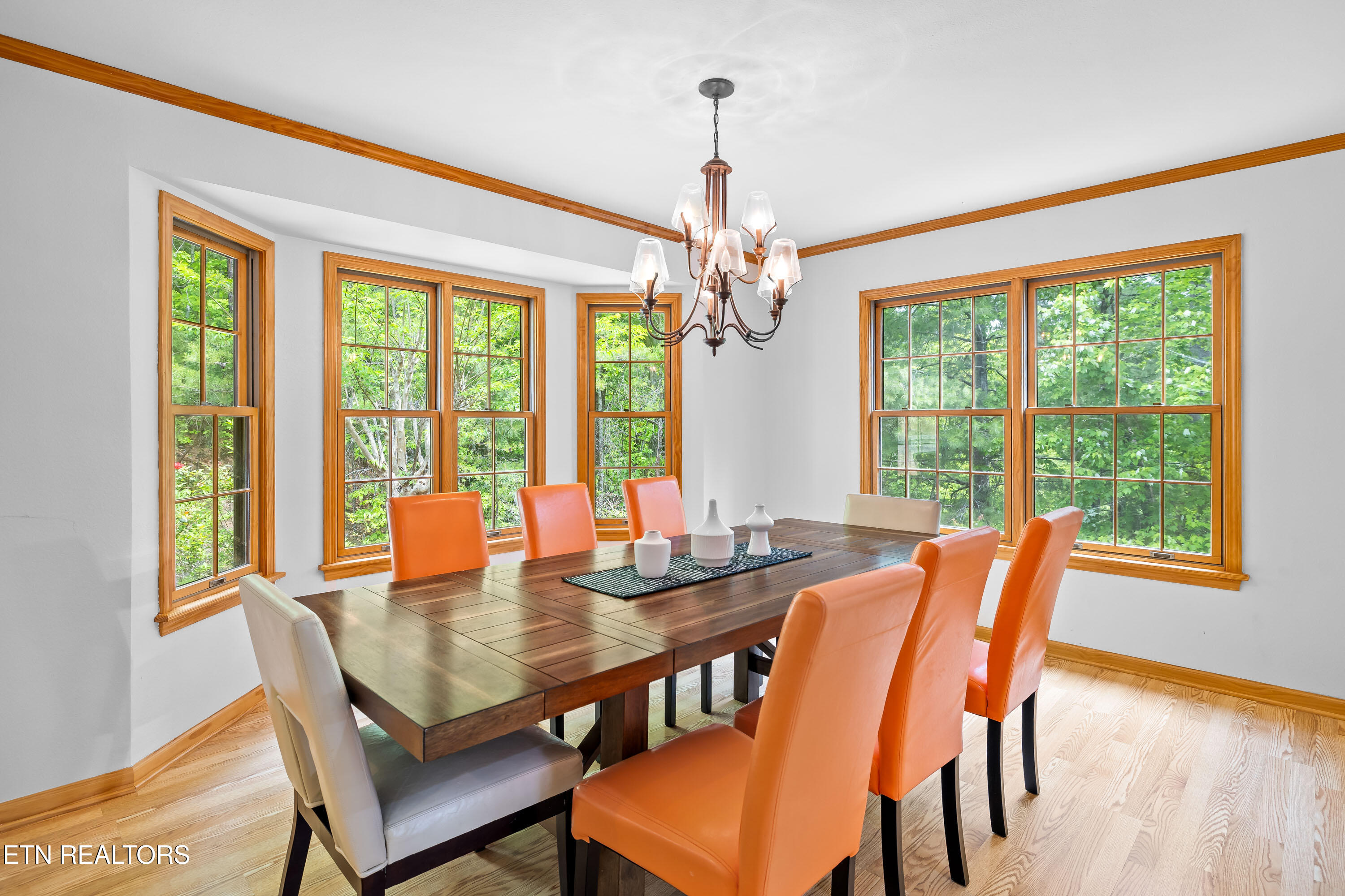 229 Cobblestone Way Townsend TN 37882