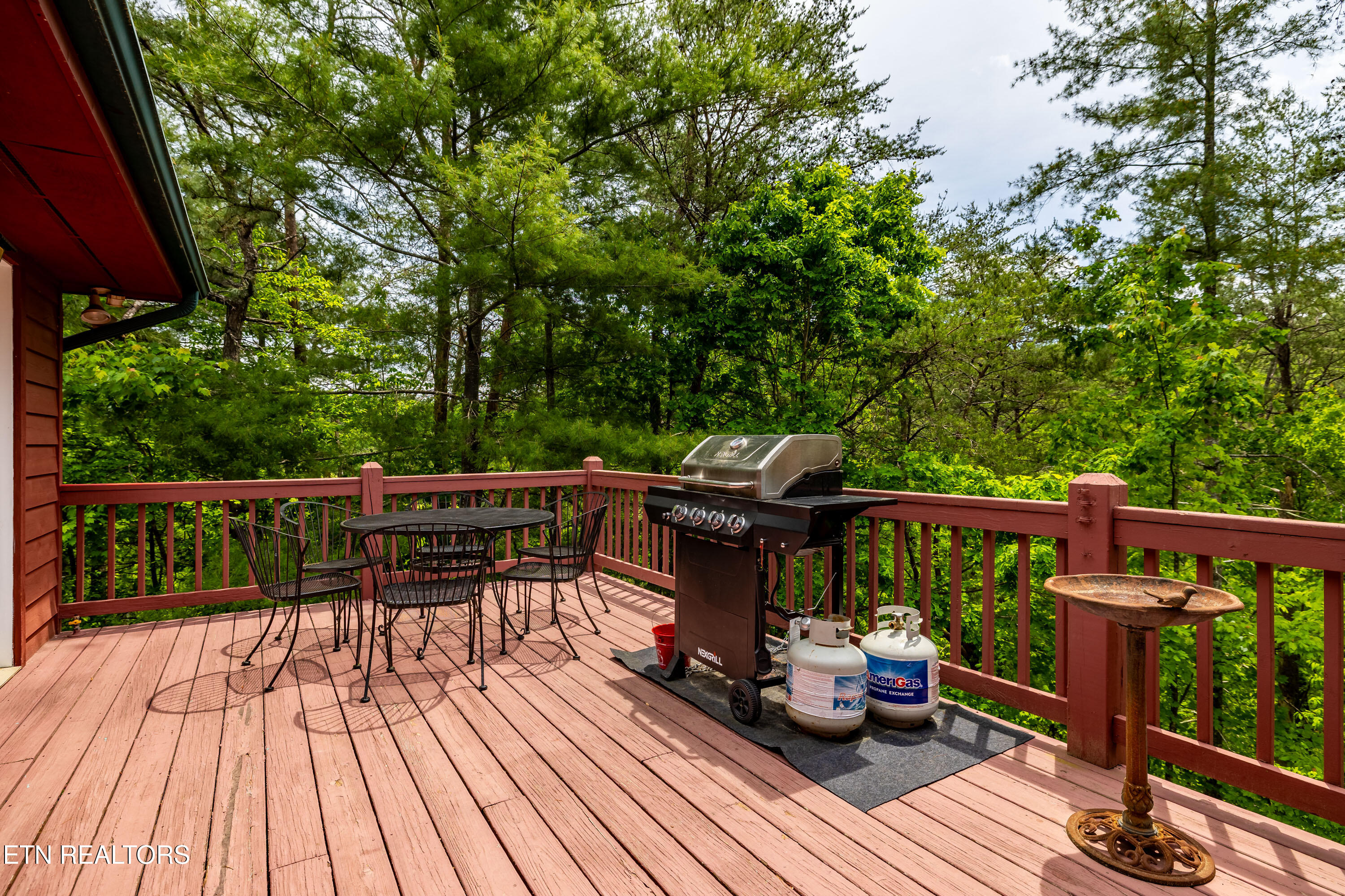 229 Cobblestone Way Townsend TN 37882