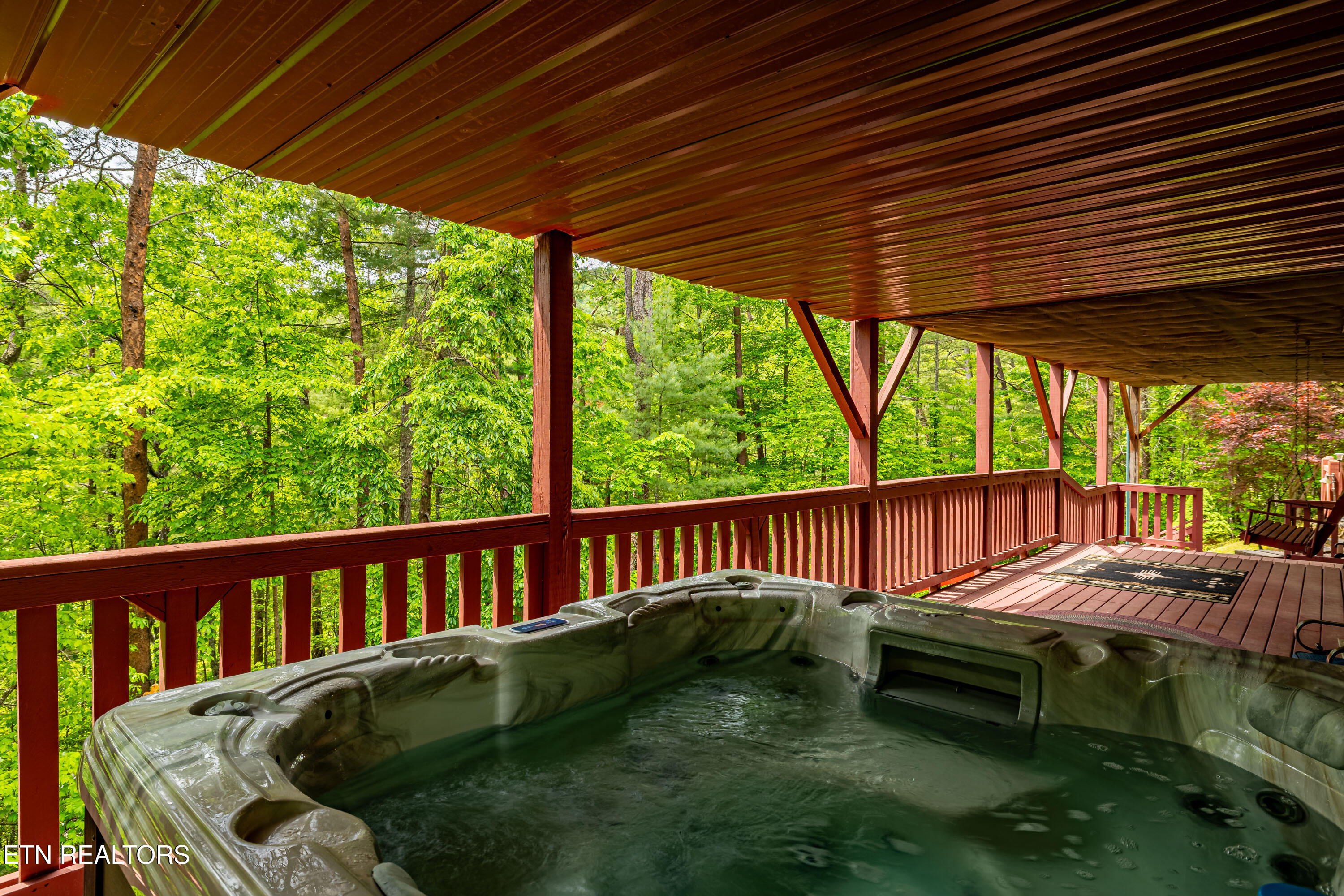 229 Cobblestone Way Townsend TN 37882
