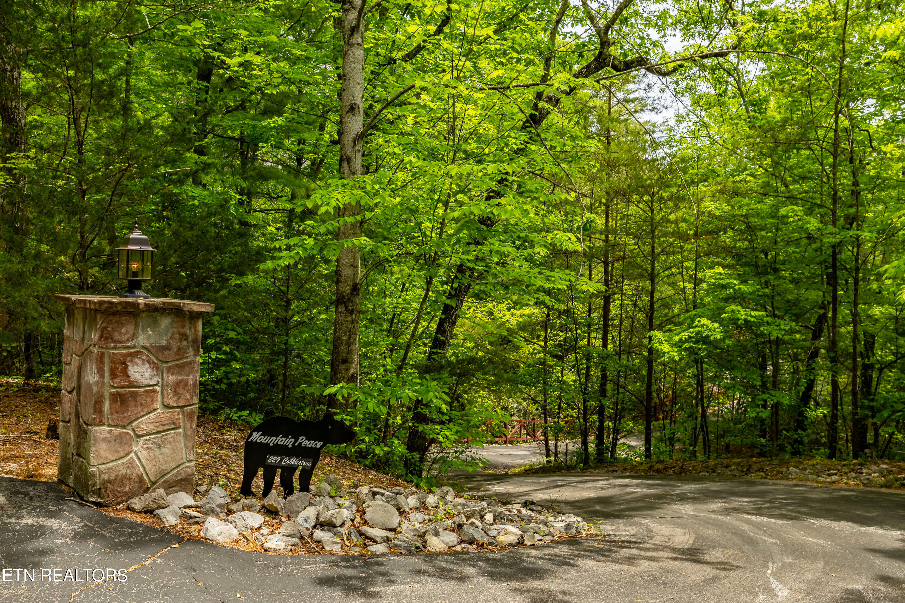 229 Cobblestone Way Townsend TN 37882