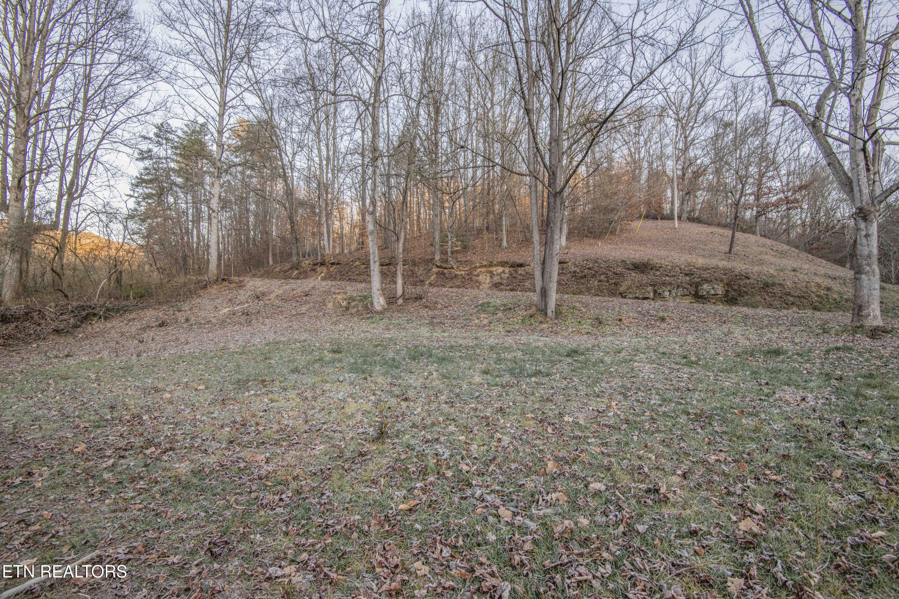 299 Big Mountain Hollow Road Oliver Springs TN 37840