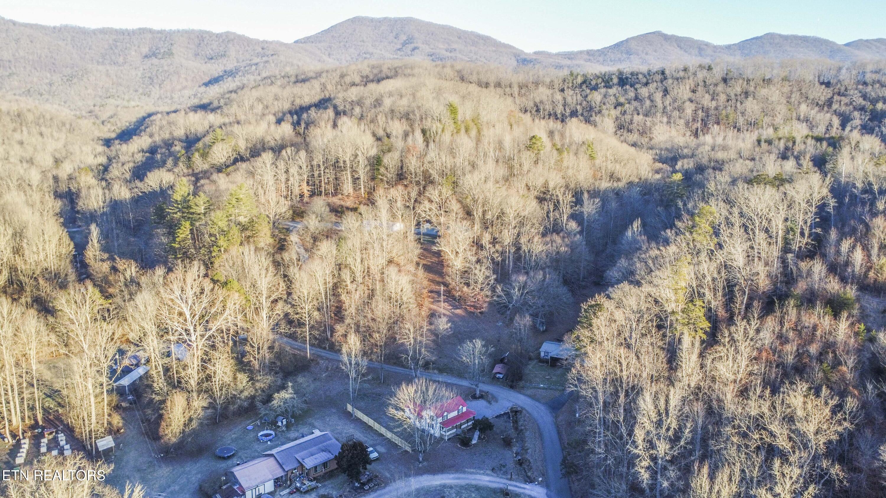 299 Big Mountain Hollow Road Oliver Springs TN 37840