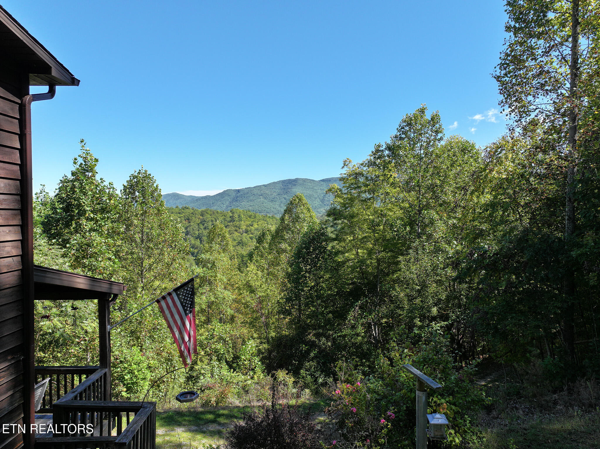 199 Pear Tree Way Del Rio TN 37727