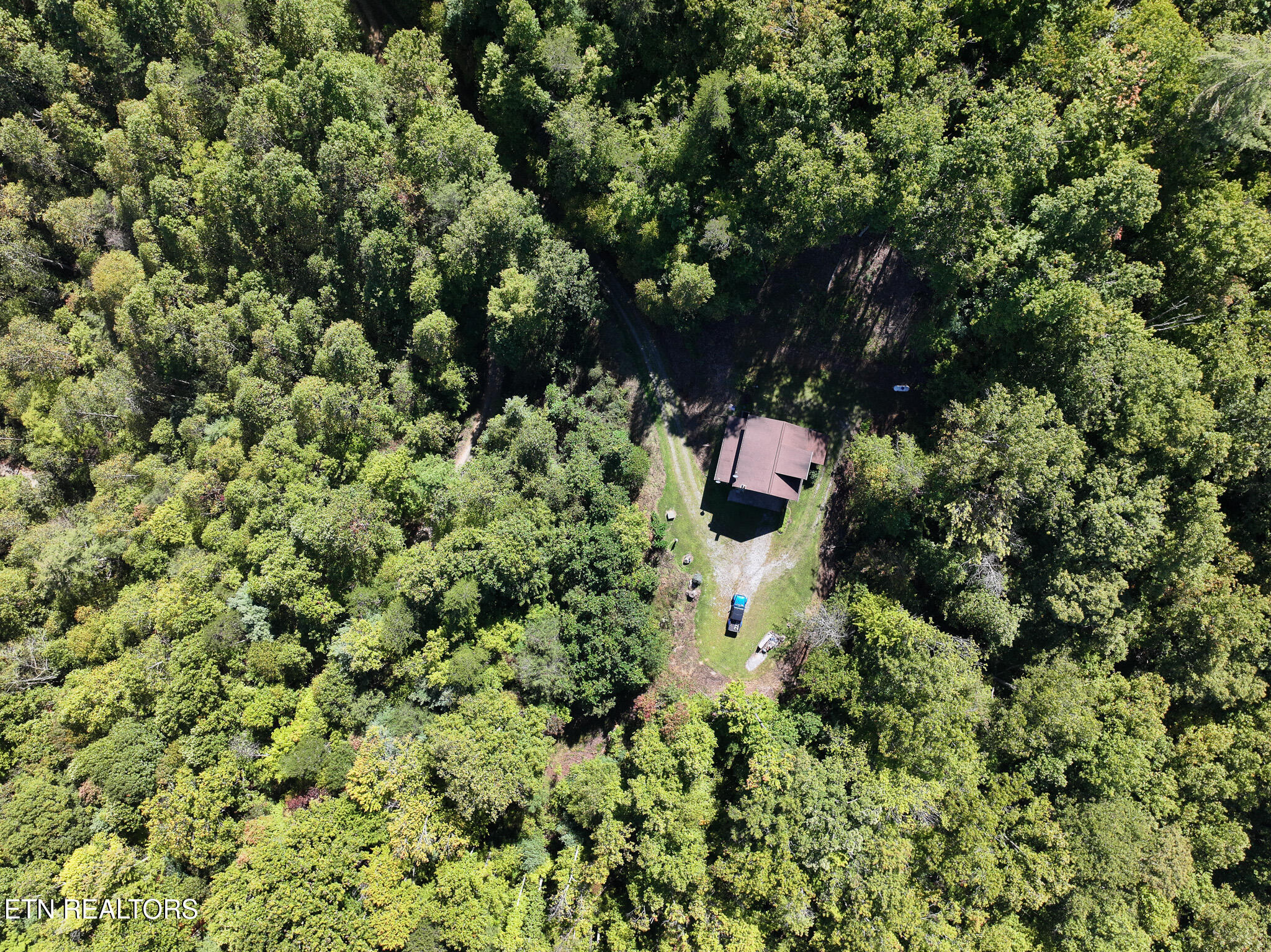 199 Pear Tree Way Del Rio TN 37727