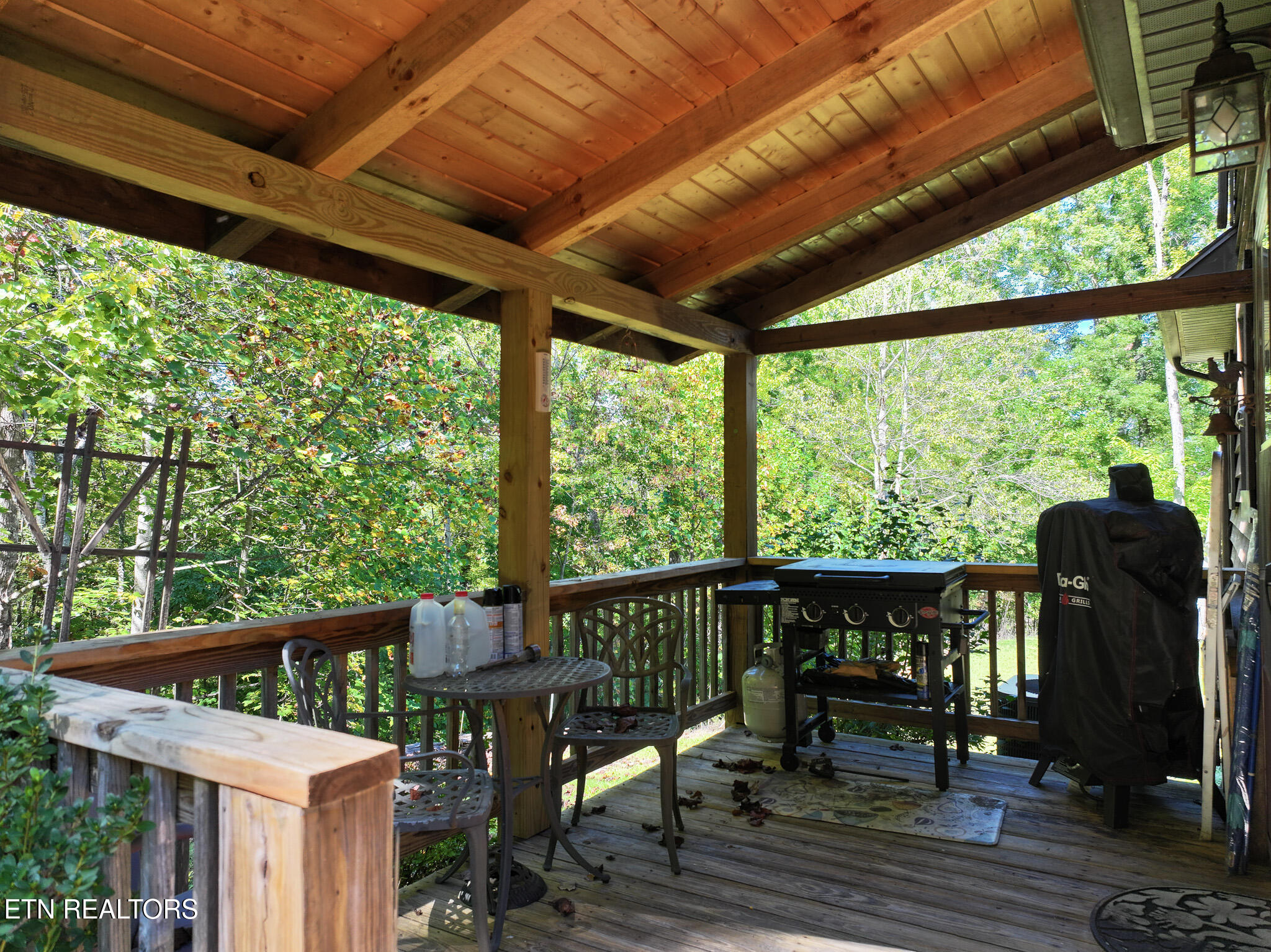 199 Pear Tree Way Del Rio TN 37727