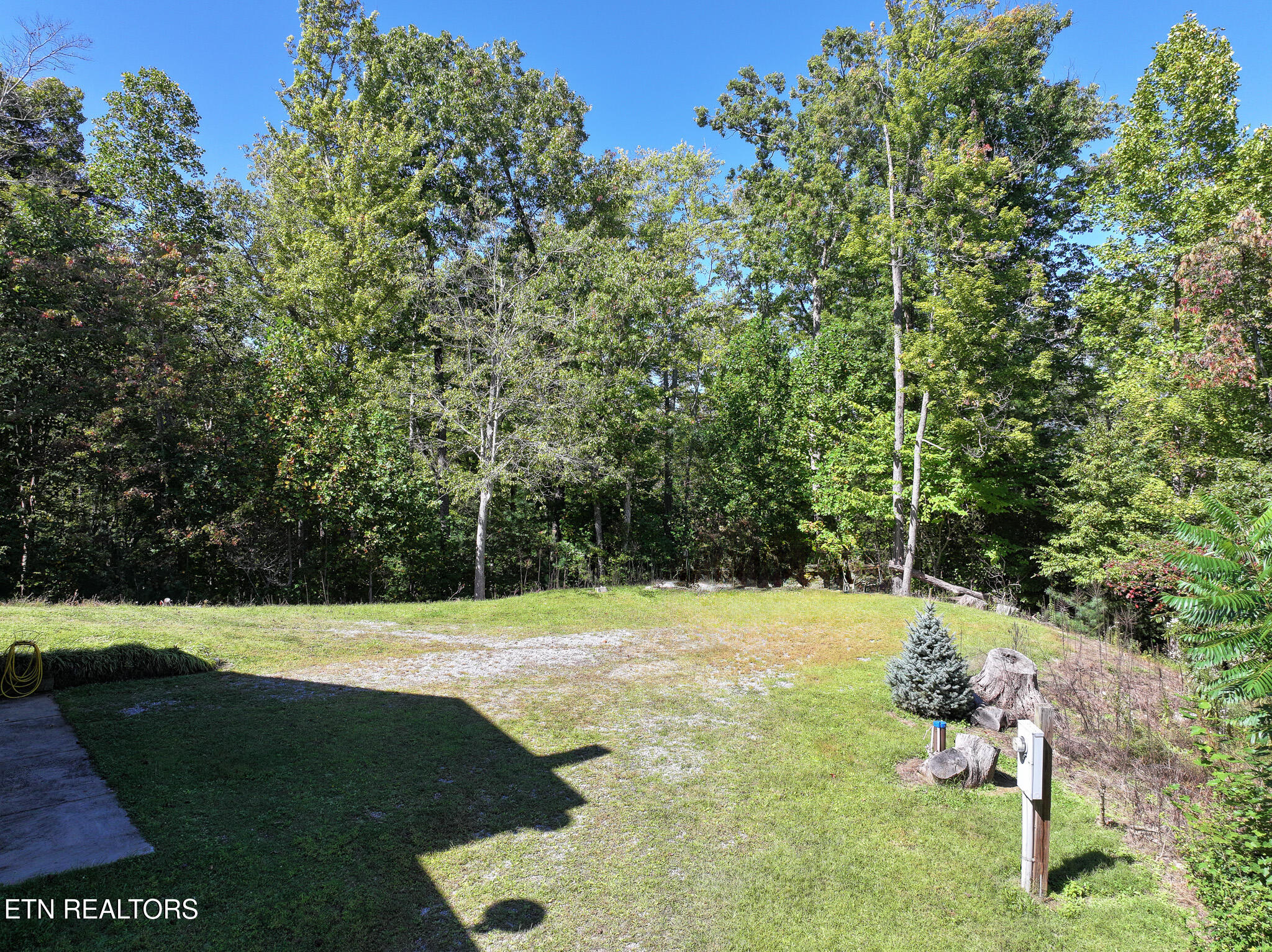 199 Pear Tree Way Del Rio TN 37727