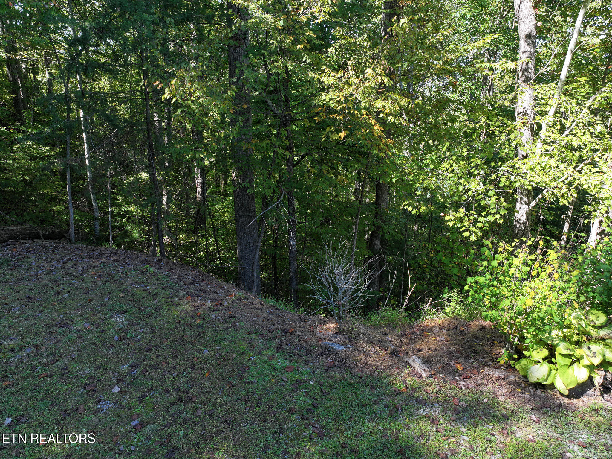 199 Pear Tree Way Del Rio TN 37727
