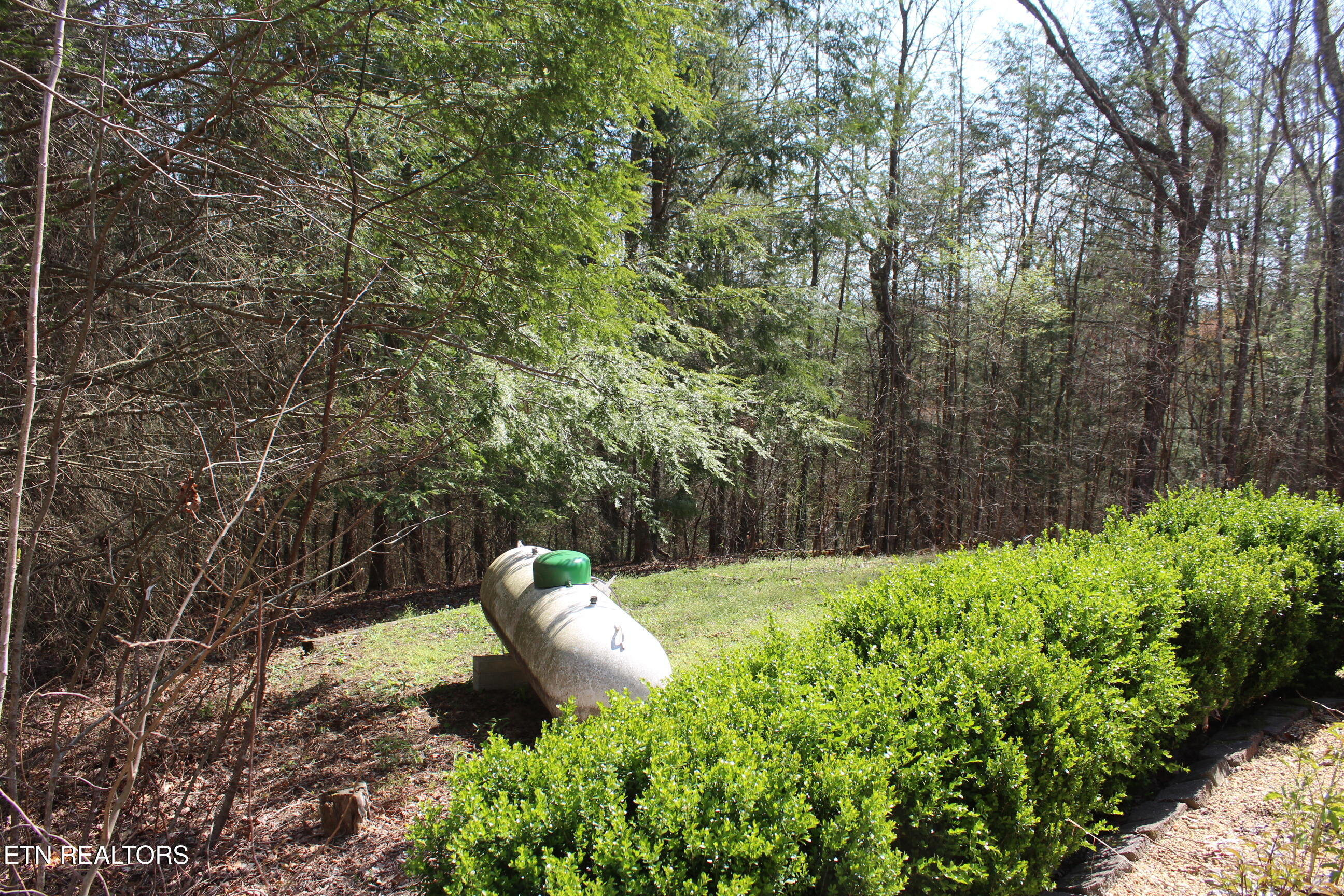 205 Maggie Valley Drive Jamestown TN 38556