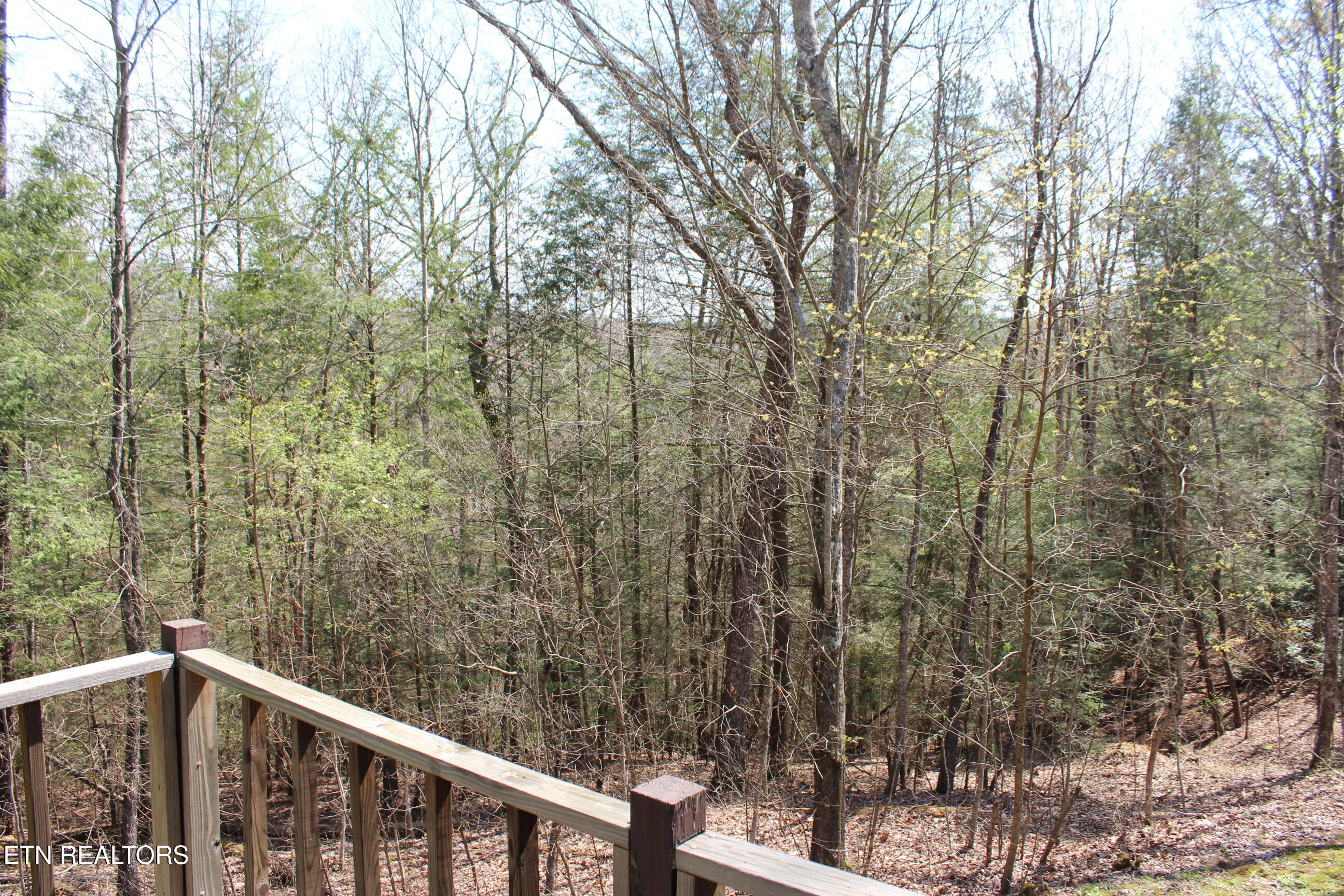 205 Maggie Valley Drive Jamestown TN 38556