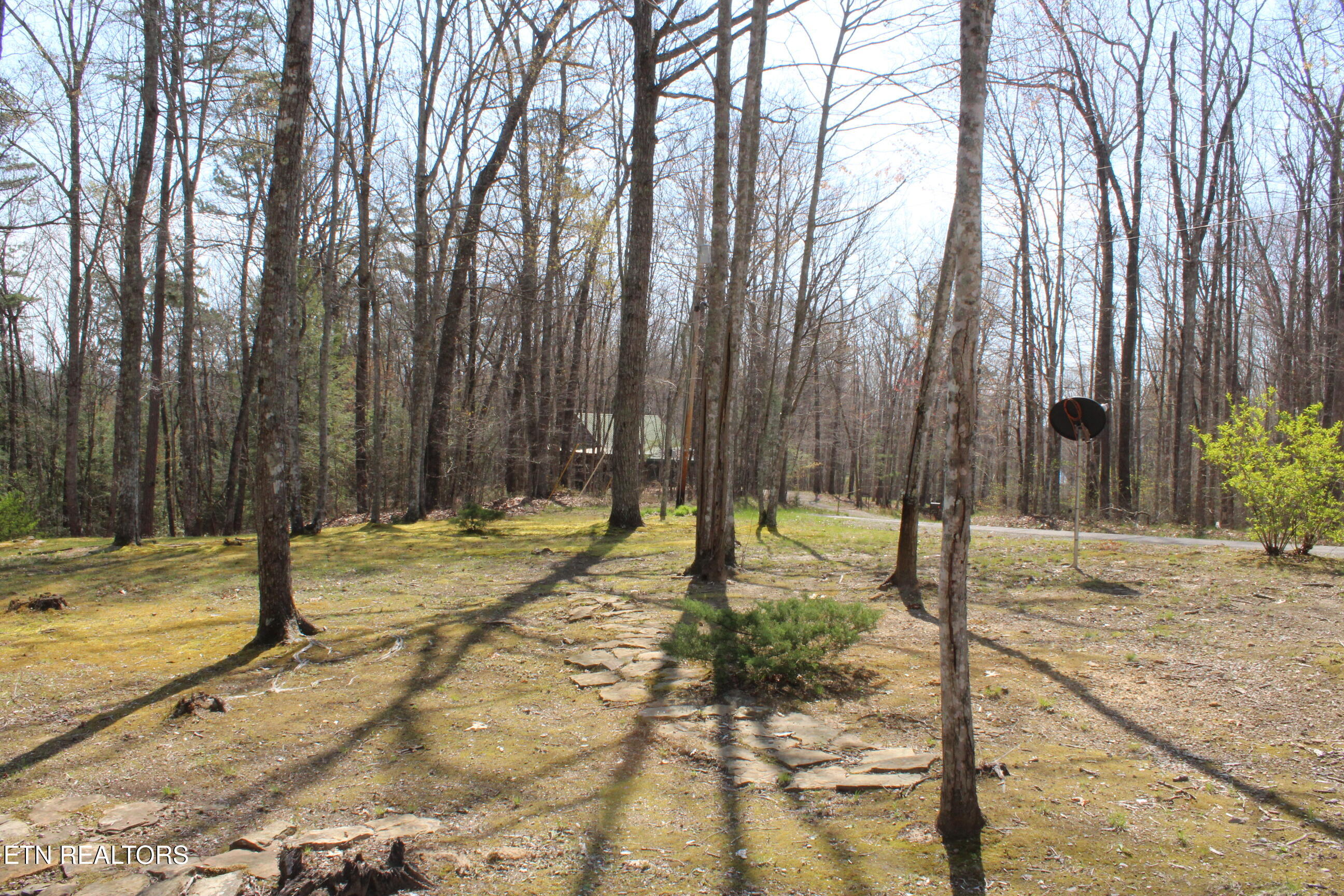 205 Maggie Valley Drive Jamestown TN 38556