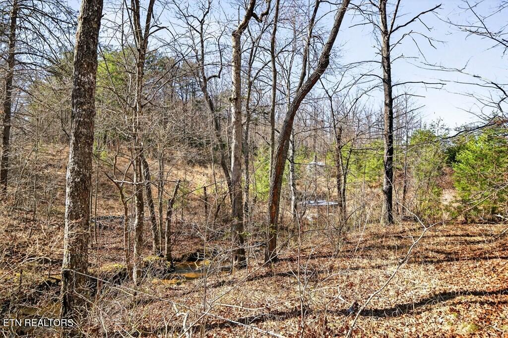 499 Hemlock Lane Spencer TN 38585