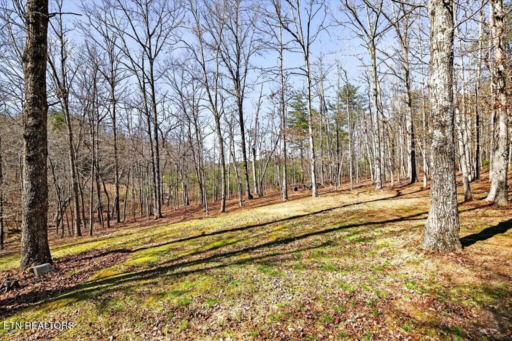 499 Hemlock Lane Spencer TN 38585