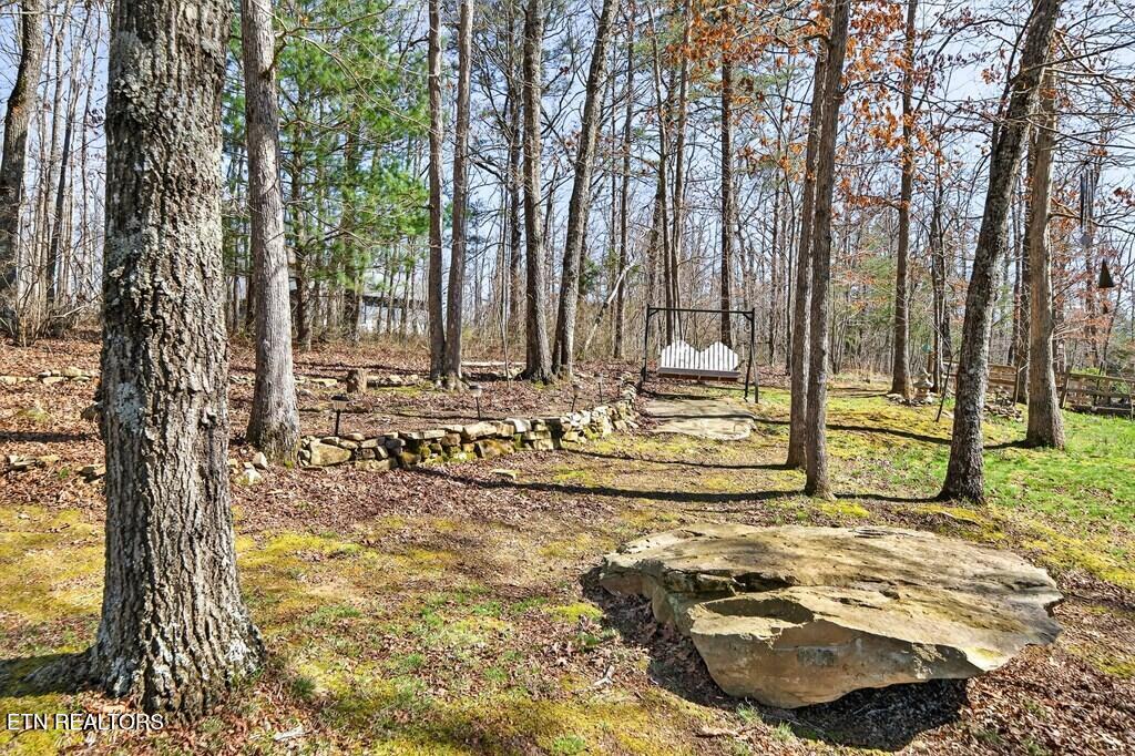 499 Hemlock Lane Spencer TN 38585