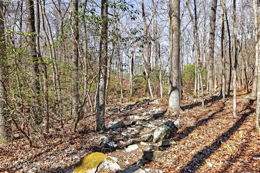 499 Hemlock Lane Spencer TN 38585