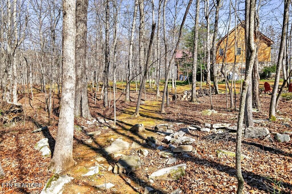 499 Hemlock Lane Spencer TN 38585